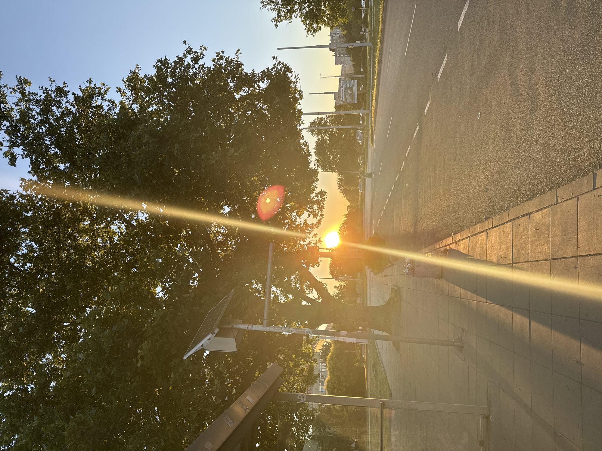 The image depicts a street scene in Plovdiv, Bulgaria, during sunset. A large tree with lush green foliage dominates the left side of the frame, with the sun's rays piercing through its branches, creating lens flares. To the left of the tree is a bus stop shelter with a glass enclosure, and a pole with a solar panel. A paved sidewalk runs alongside the road, with a trash receptacle visible. The sun is low on the horizon, casting long shadows across the sidewalk and the road. The road itself is asphalt with white lane markings. In the background, buildings and more trees are visible, illuminated by the warm glow of the setting sun. The sky is a clear blue.