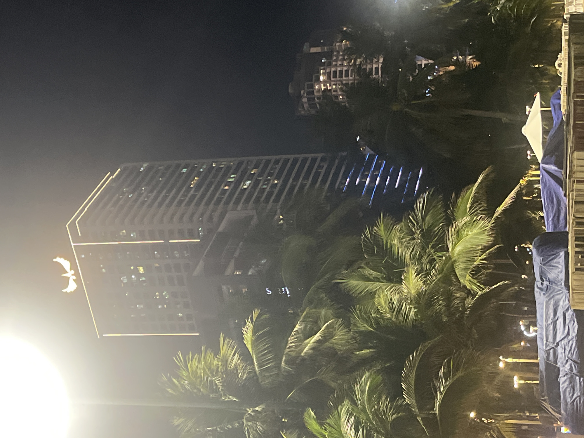 This image depicts a nighttime scene in Nha Trang Ward, Vietnam, with a prominent, brightly lit skyscraper as the central focus. The skyscraper is adorned with a glowing, winged emblem at its peak, and vertical strips of light accent its facade. In the foreground, lush palm trees with broad fronds partially obscure the view, their leaves illuminated by surrounding lights. In the lower part of the image, several structures covered with blue tarpaulins are visible, suggesting ongoing construction or storage. Additional buildings, also lit at night, can be seen to the right of the main skyscraper, nestled among the palm trees. The overall atmosphere is one of a tropical urban environment at night, characterized by artificial illumination against a dark sky.