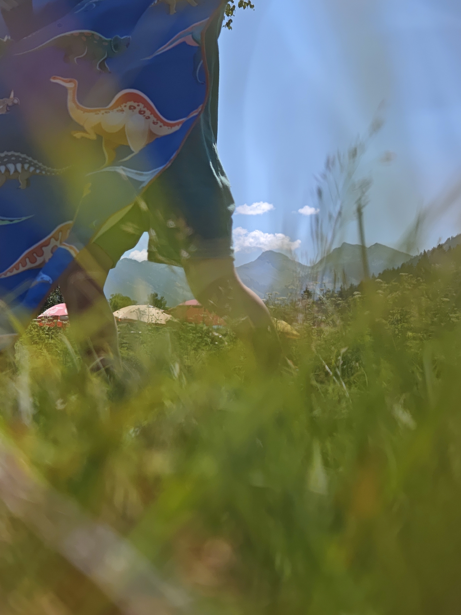 The image shows a person in the foreground wearing a blue garment with a dinosaur print. The person's legs and hands are visible, and they appear to be interacting with the environment. The background features a grassy field with several colorful umbrellas, suggesting an outdoor event or gathering. Beyond the field, mountains rise against a bright blue sky with scattered clouds. The overall impression is of a sunny day in a mountainous region. The image does not provide any specific details about the location being in the city of Kitzbühel, Austria.