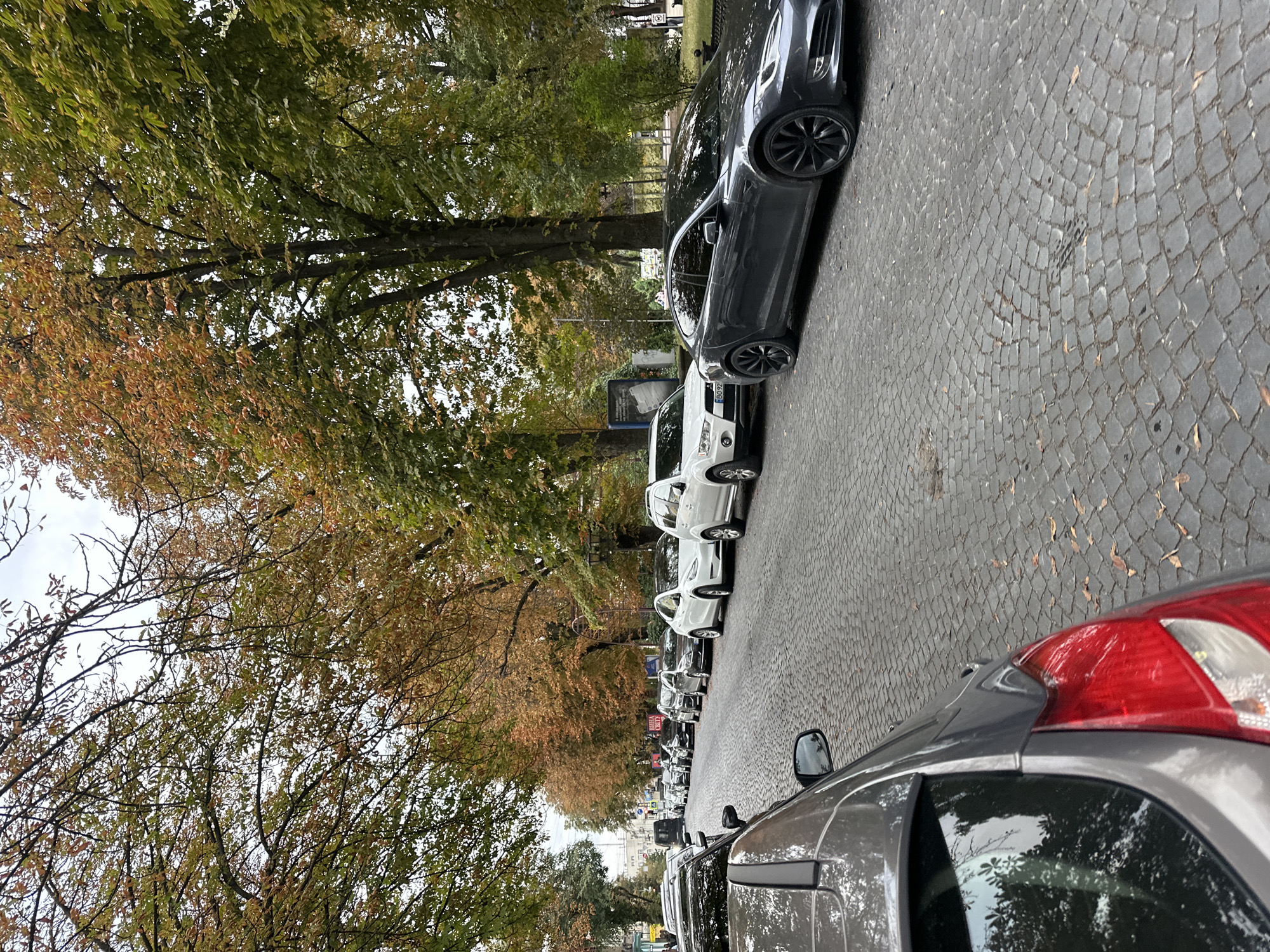 The image depicts a street lined with parked cars and trees with autumn foliage. A dark gray Tesla Model S is parked on the right side of the street, facing away from the camera. Several other cars, including white SUVs and sedans, are parked in a line on the left side of the street. The street is paved with cobblestones. The trees are a mix of green and orange, indicating it is autumn. In the background, there are buildings and a few pedestrians walking. The scene appears to be a typical city street in Ternopil, Ukraine, during the fall season.