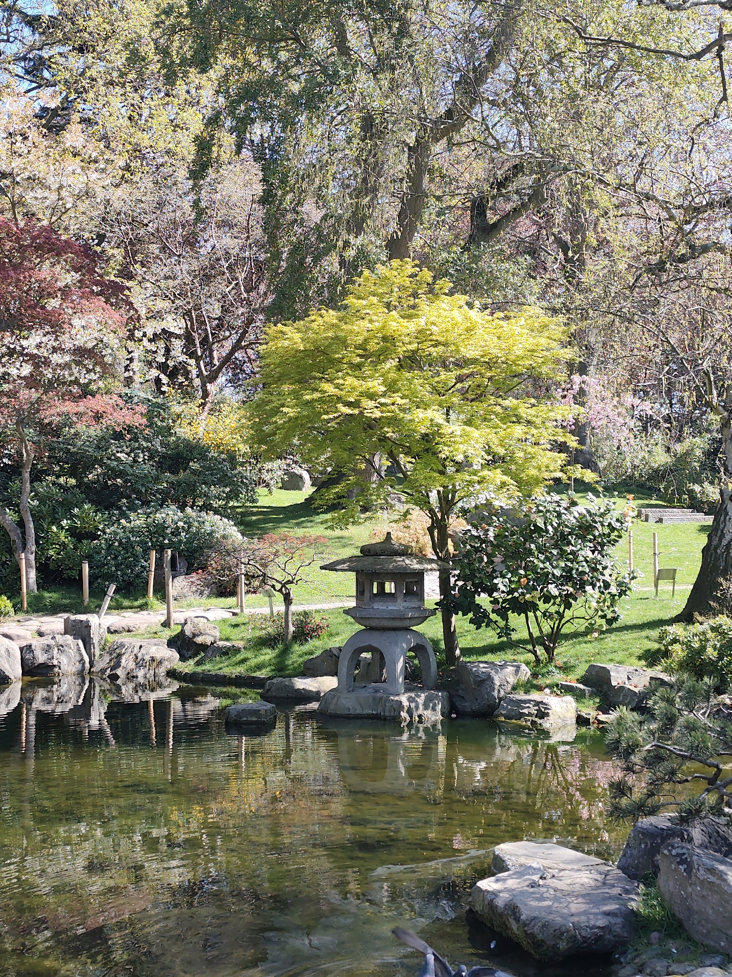 This image depicts a serene Japanese garden scene in London, United Kingdom. A stone lantern stands on rocks at the edge of a pond, with its reflection visible in the water. A vibrant green tree is positioned behind the lantern, with other trees and foliage surrounding the area. In the background, there is a grassy area with benches, indicating a public park setting. The presence of rocks, trees, and water suggests a naturalistic and contemplative environment, characteristic of a Japanese garden.
