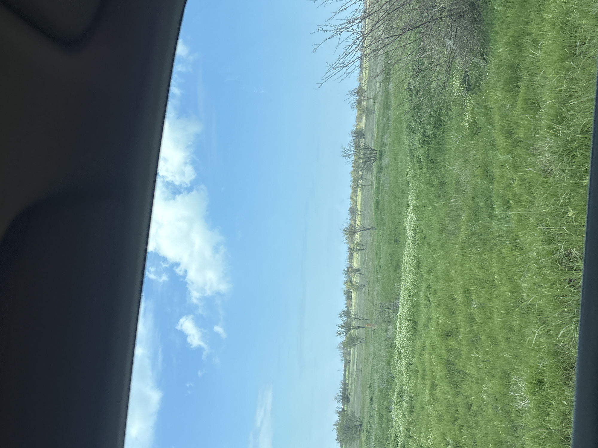 View from a car window. To the left, a blue sky with scattered clouds. To the right, a grassy field with sparse trees. Likely located within Nikolaevskoe rural settlement, Ukraine.