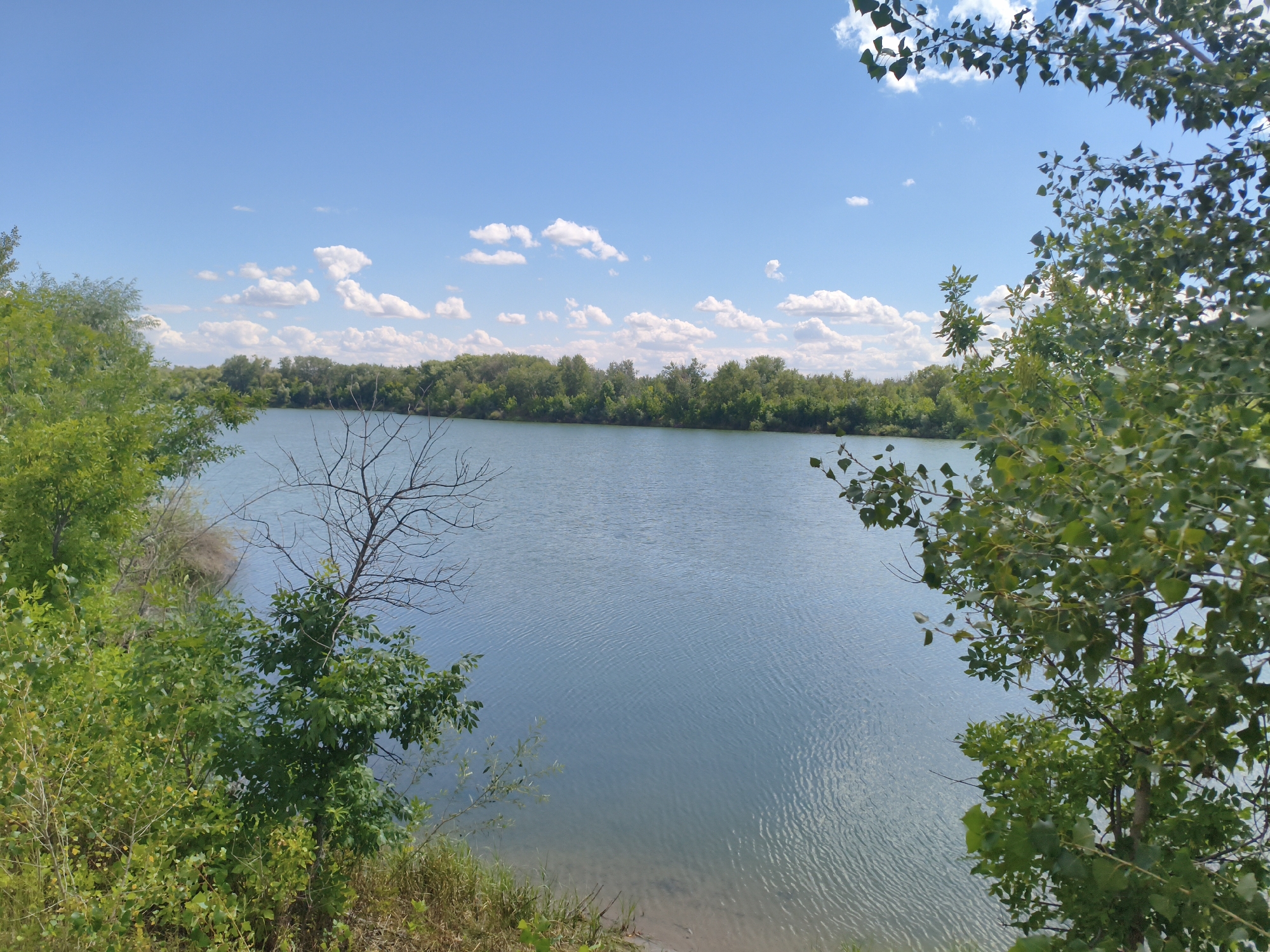 The image depicts a calm, blue lake surrounded by lush green trees and vegetation under a clear blue sky dotted with white clouds. The foreground features trees with vibrant green leaves and some dry branches, framing the view of the lake. The water surface has gentle ripples. The far bank of the lake is lined with a dense forest. The scene appears to be a natural landscape, possibly a park or recreational area in or near the city of Tryokino, Kazakhstan, given the context. There are no people or animals visible in the image.