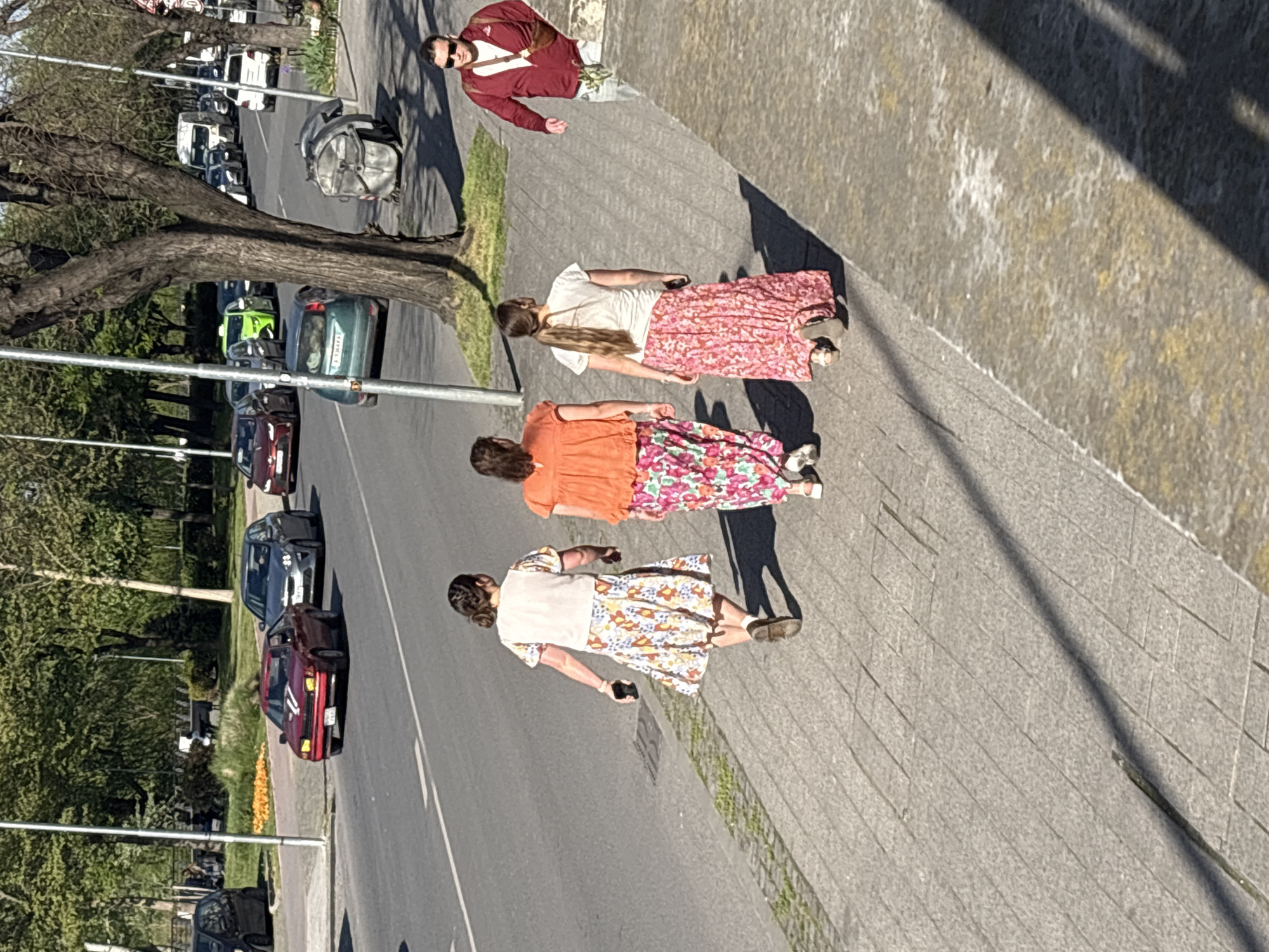 This image captures a bright, sunny street scene, likely in the late morning or afternoon, given the length and angle of the shadows. The setting is described as Plovdiv, Bulgaria. The street features a paved sidewalk on the right and a road on the left, lined with trees and parked cars.
In the foreground and middle ground, three women are walking away from the camera on the sidewalk. The woman closest to the viewer wears a light-colored top and a long, patterned skirt with white, brown, and blue floral motifs, holding a smartphone. Ahead of her, another woman is dressed in an orange top and a colorful floral skirt predominantly in pinks, greens, and whites. The third woman wears a white t-shirt and a long, flowing pink skirt with subtle patterns.
Further along the sidewalk, a man is visible, wearing a maroon long-sleeved shirt, light trousers, and sunglasses. He appears to be looking towards the left side of the frame. Near him is a large, dark grey industrial-style bin or container on the sidewalk.
The road is populated with various vehicles, including several parked cars and some that appear to be in motion. Notable cars include a bright green sedan, a dark blue car, and a maroon car with distinctive white markings on its hood. A large, gnarled tree trunk dominates the left side of the image, with its canopy providing shade further down the street. Small patches of grass and a flower bed with yellow blooms are visible between the road and the sidewalk in the distance. The sidewalk and adjacent low wall show signs of wear and tear, with some white and yellow discoloration. No clearly readable text is discernible on license plates or signs.