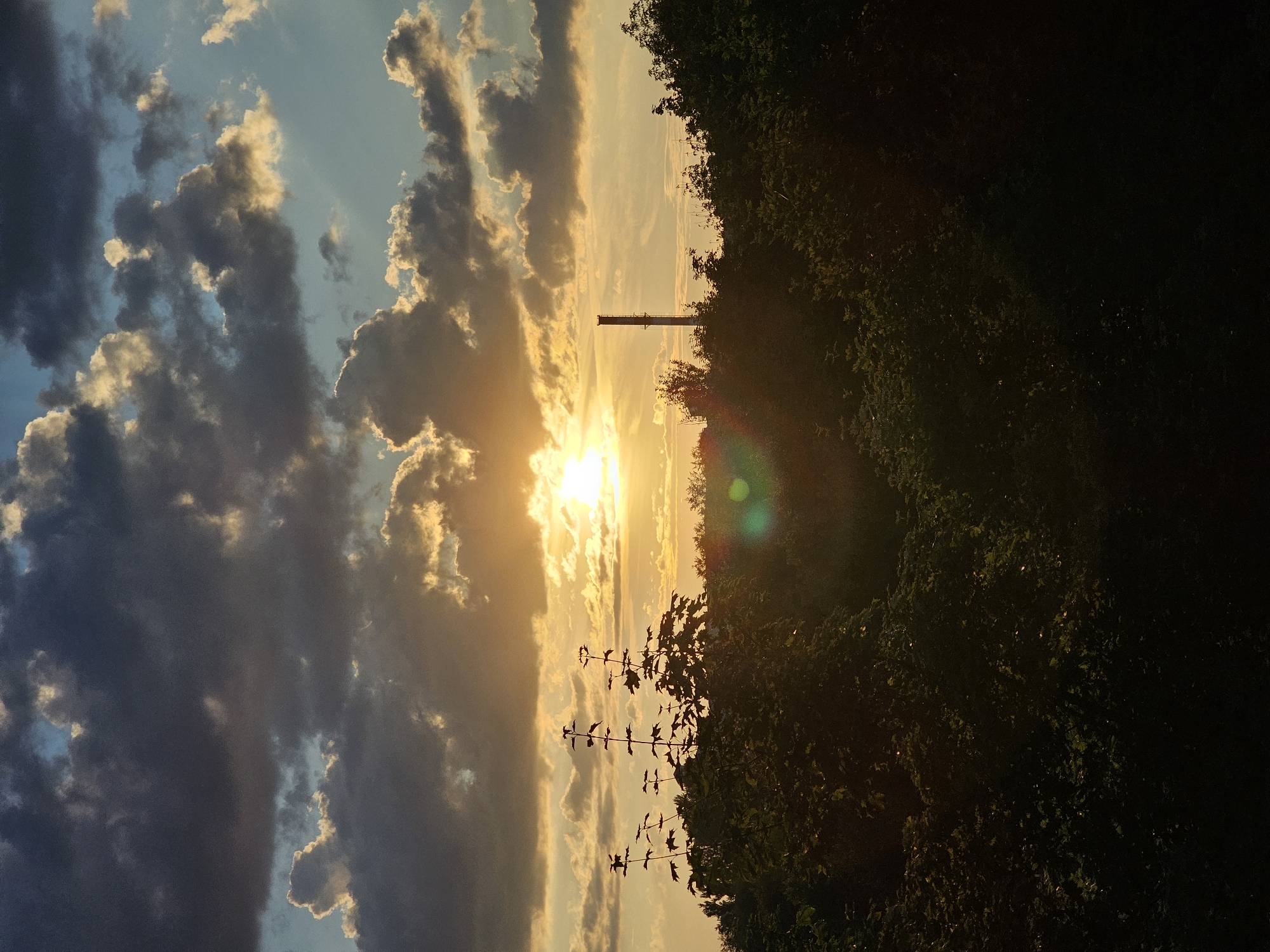 The image depicts a natural landscape at sunset, with the sun setting behind a horizon of trees and vegetation. The sky is filled with a dramatic array of clouds, some dark and heavy, others illuminated by the golden rays of the sun. A slender industrial chimney stands tall against the colorful sky, silhouetted by the fading light. The foreground is dominated by dark, lush foliage, obscuring any potential ground details. The overall impression is one of a serene, yet slightly industrial, natural scene at dusk. The location is identified as Khimki, Russia.