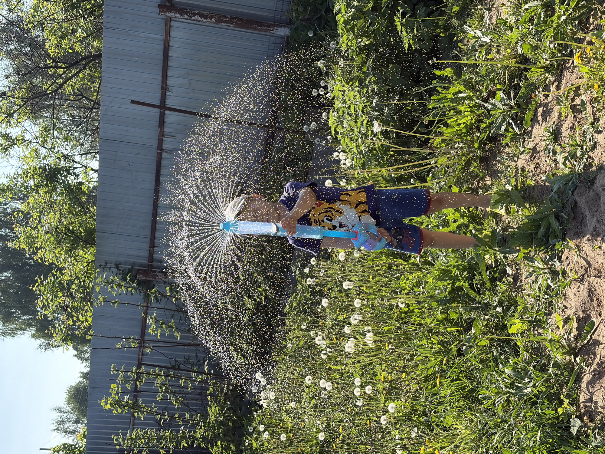 A child, wearing a blue shirt with a tiger design and blue shorts, is holding a blue and transparent water blaster toy and spraying water in an outdoor area. The backdrop features a mix of greenery including dandelions and various plants. A metal fence is visible behind the greenery on the left side of the frame. The location appears to be Фоки, Russia.