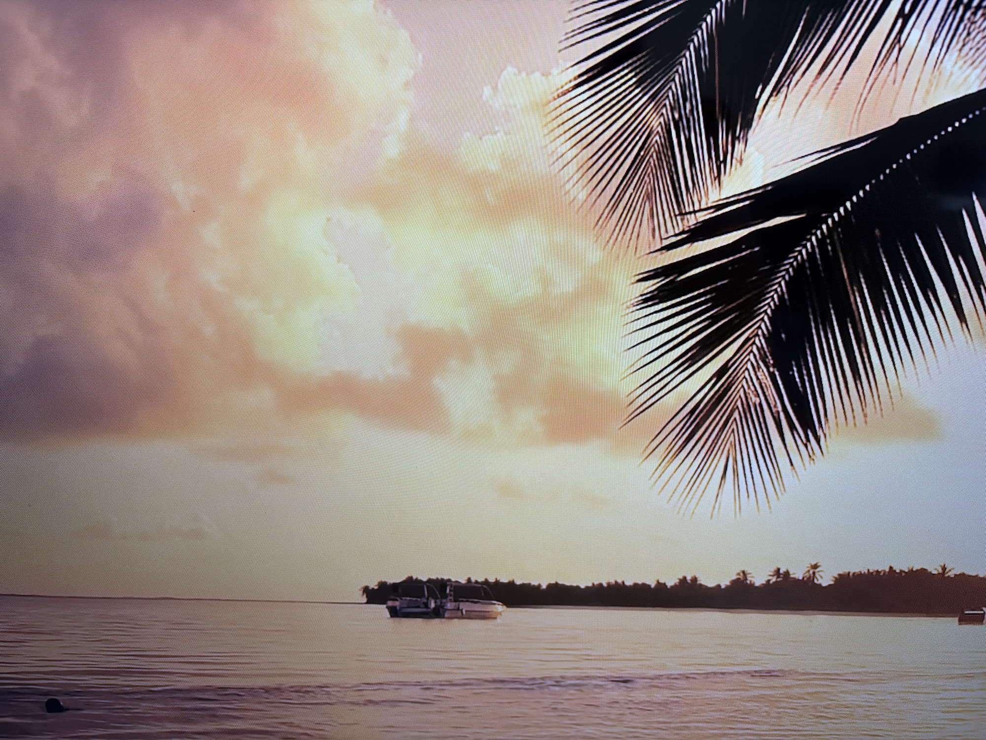 The image depicts a tropical sunset scene with palm fronds in the foreground, partially obscuring a calm body of water. Two boats are visible on the water, and a silhouetted tree line suggests land in the distance. The sky is filled with warm-toned clouds, indicative of either sunrise or sunset. There are no discernible elements within the image that connect it to the city of Duisburg, Germany. The scene appears to be a generic tropical landscape.