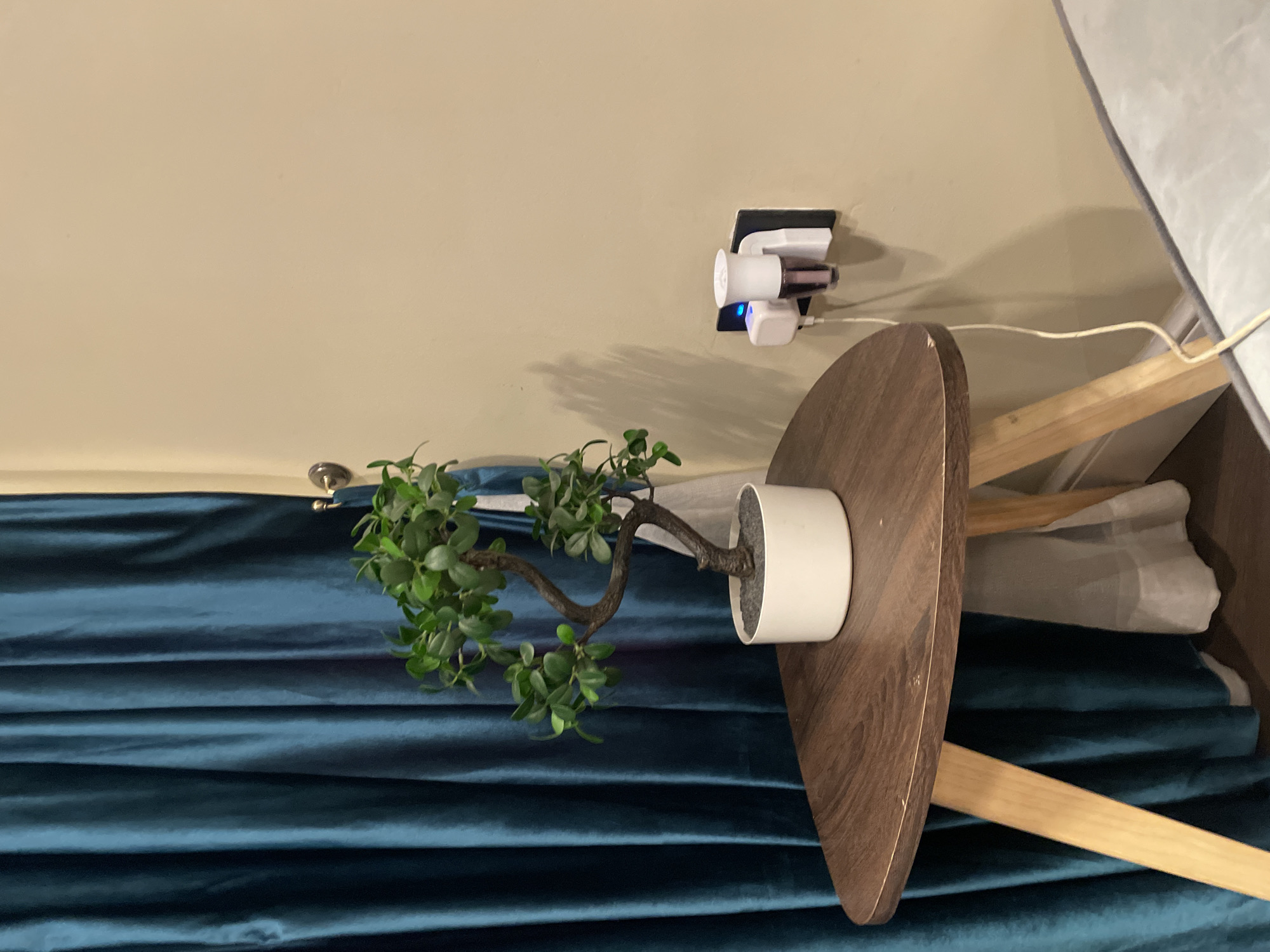 The image displays an indoor scene, rotated 90 degrees clockwise, featuring a collection of household items against a neutral-colored wall and dark curtain.
In the foreground, a small, artificial plant, resembling a bonsai with green leaves and a gnarled brown stem, is potted in a white cylindrical container. This plant rests on a circular, dark wood-grained tabletop, which is supported by lighter wooden legs.
Behind the plant and table, a prominent dark teal or blue curtain, likely made of velvet, hangs with soft folds. A silver curtain rod bracket is partially visible near the top left corner of this curtain. Behind the teal curtain, a lighter, possibly sheer white curtain is also present.
The background consists of a plain, light beige or cream-colored wall. Mounted on this wall, in the upper right section, is a power outlet or wall adapter unit. Several white power adapters and chargers are plugged into this unit, with one exhibiting a bright blue indicator light. A thin, white electrical cable extends from this charging setup, trailing downwards and to the right.
The lighting appears to be artificial indoor light, casting some soft shadows on the wall. There are no people visible, nor is any specific activity taking place. No text is discernible in the image. The scene offers a glimpse into a quiet, organized corner of a room, possibly within a residence in Abuja, Nigeria, given the provided context.