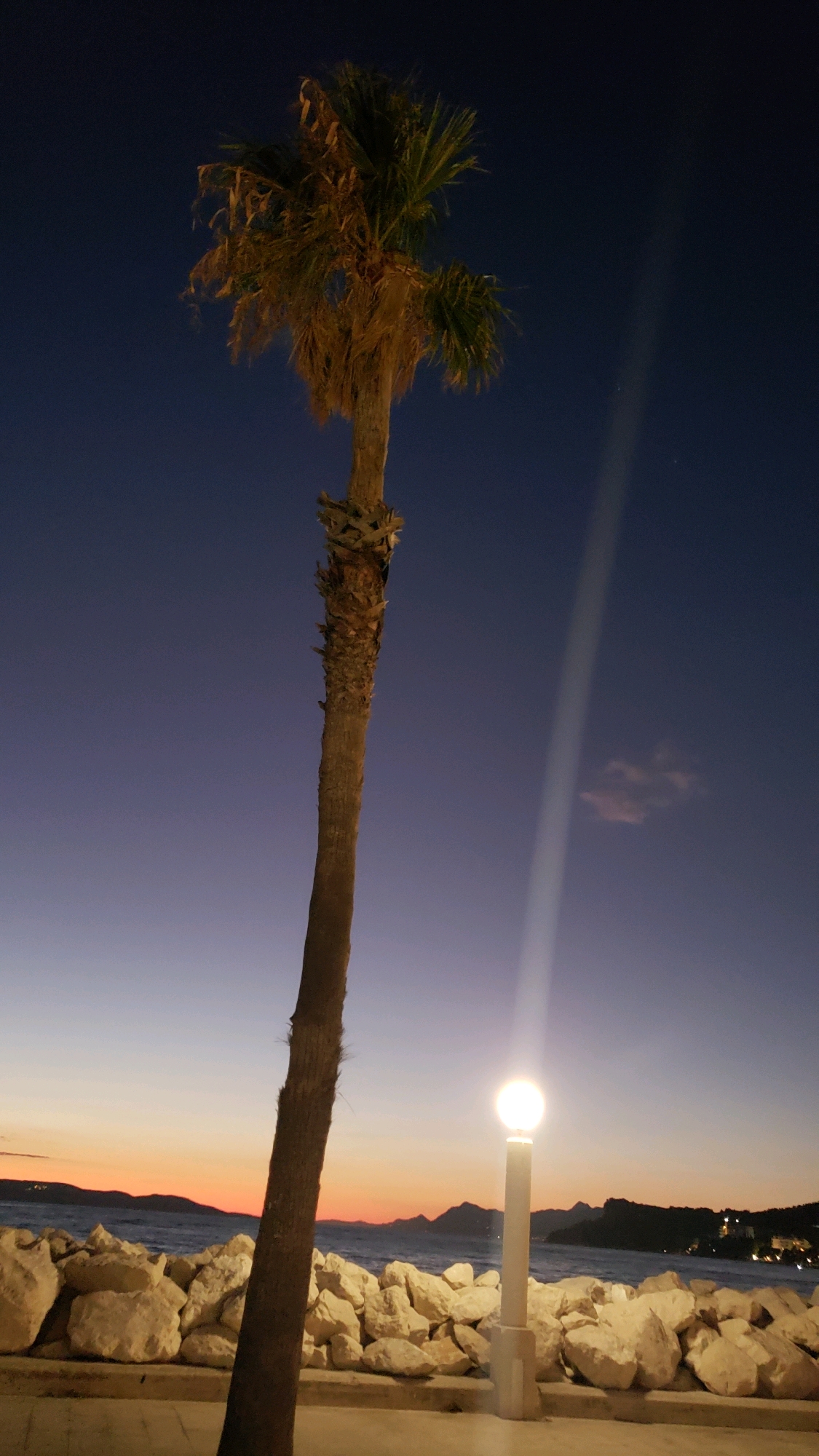 A vertical, full-frame shot captures a lone palm tree silhouetted against a twilight sky. The sky transitions from a deep, dark blue at the top to a pale purple and then a gradient of orange and pink near the horizon. The palm tree's trunk is dark and textured, with dried fronds clustered at its top. To the right of the palm tree, a tall, white lamppost emits a bright light that creates a visible beam extending upwards into the sky. Below the tree and lamppost, a rocky shoreline lines a body of water, with distant hills and the lights of a settlement visible on the far shore. The rocks appear to be large, light-colored boulders. The scene suggests a coastal location at dusk or dawn. The specific location within Općina Tučepi, Croatia is not identifiable from the image alone. There are no people or animals visible.