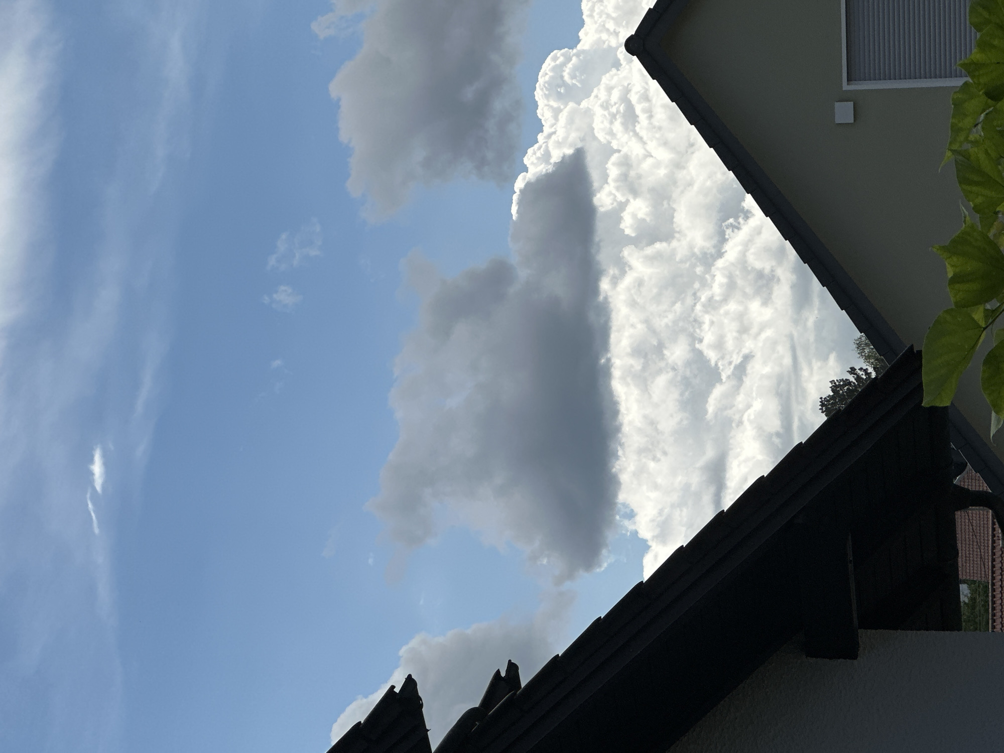 The image captures a view of the sky with houses in the foreground, as seen from the city of Günzburg, Germany. Two house rooftops are visible, one on the left with dark gray tiles and a slightly lighter colored wall, and another on the right with gray tiles and a pale yellow wall. The sky is a bright blue with a mix of fluffy white and dark gray clouds. In the lower portion of the image, green leaves from a plant partially obscure the view of the houses. The overall impression is a sunny day with some cloud cover, suggesting it could be a residential area in Günzburg. There are no people or animals visible in the frame, and no specific actions are taking place.