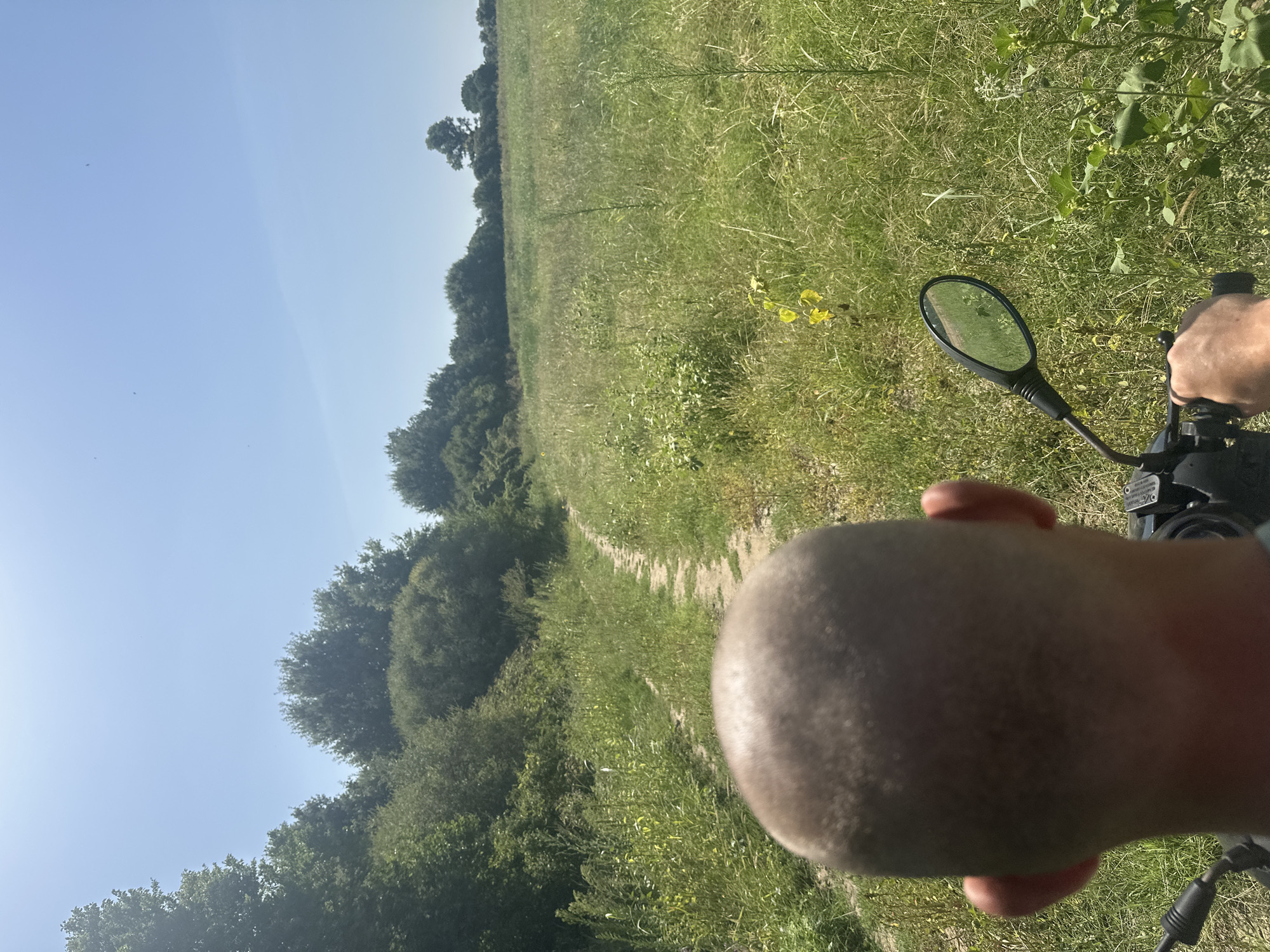 The image, taken from the perspective of someone riding a scooter, depicts a narrow dirt path winding through a grassy field under a clear blue sky. Lush green trees and bushes line the left side of the path, with a large open field of tall grass and scattered yellow wildflowers stretching to the right. In the foreground, the back of a person's bald head and ears are visible, along with the handlebars and a side mirror of the scooter. The scene appears to be located in a rural area, possibly on the outskirts of Malevo, Bulgaria, given the natural landscape.