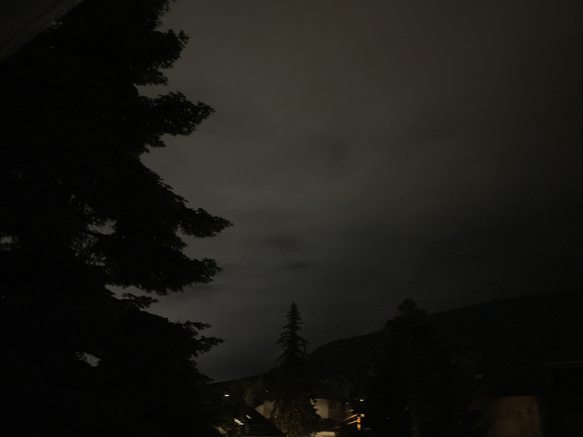 A night scene under an overcast sky shows silhouettes of trees and buildings in the city of Unknown, Unknown. A large tree dominates the left foreground, while a slender evergreen stands near the center. Lights from buildings are visible. A dark mountain ridge is in the background.