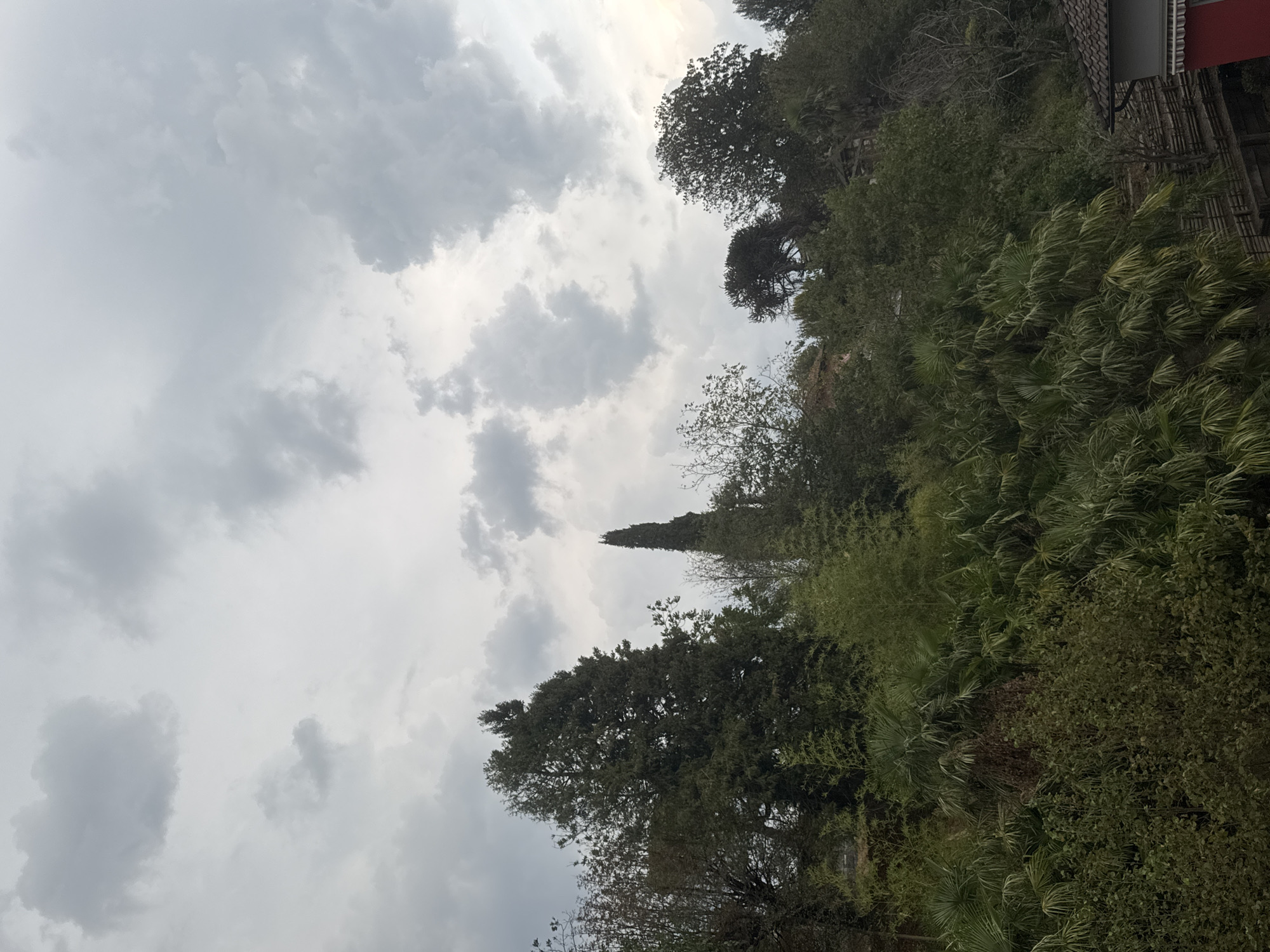 This is an outdoor, full-frame, medium shot photograph taken in Balerna, Switzerland. The image depicts a dense, verdant hillside covered in lush foliage and a variety of trees. Towering cypress trees punctuate the landscape, with a particularly tall, slender one standing out in the mid-ground. The vegetation ranges from broad-leafed palms to feathery bamboo-like plants and dense, dark green trees. A portion of a building with a red wall and a grey tiled roof is visible in the lower right corner, with wooden fencing and a pathway bordering the property. The sky above is overcast with dramatic, textured grey clouds, suggesting an impending storm or a day with diffused light. No people or animals are visible in the scene.