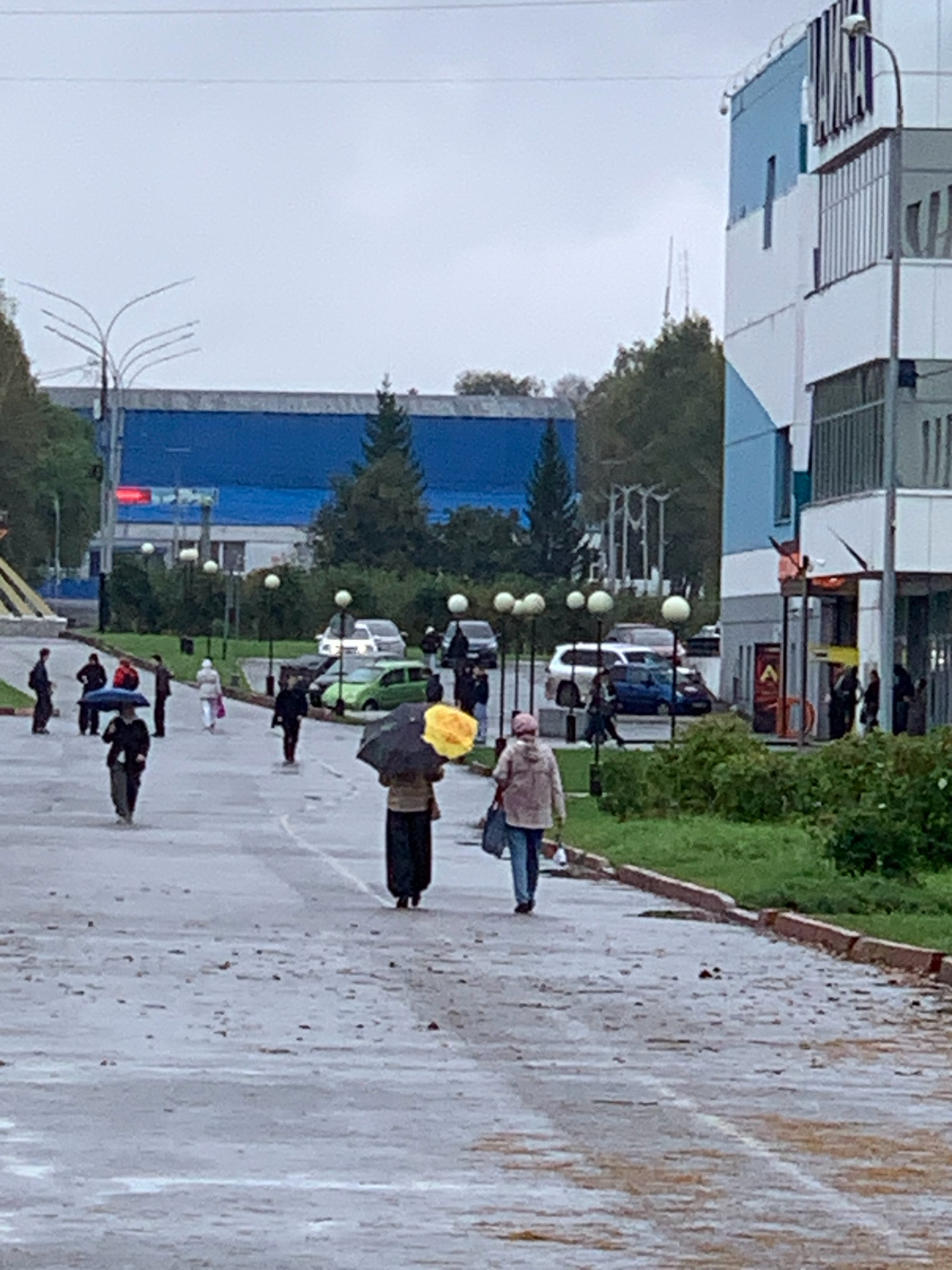 The image captures an overcast day in Prokopyevsk, Russia, likely on a street adjacent to a modern, multi-story building with blue and white accents. Several pedestrians are visible, many holding umbrellas, indicating rainy weather. The ground is wet, reflecting the sky and suggesting recent rainfall.
In the foreground, two individuals are walking away from the camera. The person on the left is holding a dark umbrella over their head, while the person on the right is holding a yellow umbrella. Further down the street, more people are scattered, some walking, some standing. One individual in the mid-ground is holding a dark umbrella and appears to be walking towards the camera.
Various vehicles are parked or driving on the street, including cars and what appears to be a van. A bright green car is visible among them. In the background, a large, blue building with a long facade is prominent. Streetlights with spherical lamps are positioned along the walkway. The environment is urban, with trees and greenery present, contrasting with the built structures. The overall atmosphere is subdued due to the cloudy weather.