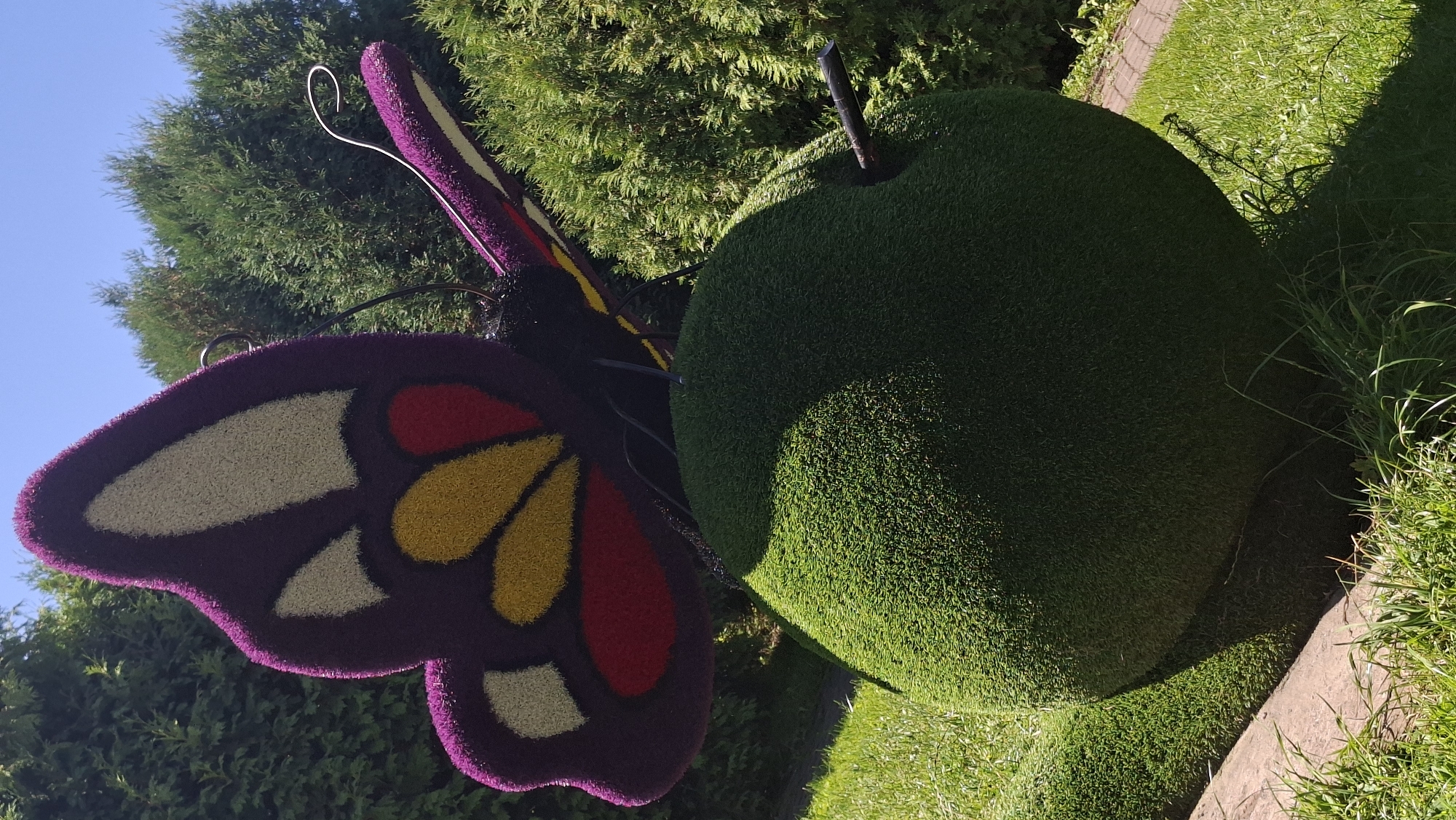A vibrant, large-scale topiary sculpture of a butterfly rests atop a large, green, apple-shaped form. The butterfly's wings are intricately detailed with purple, yellow, red, and white segments, outlined in purple. Its body is black with a purple and yellow striped abdomen. The apple is covered in bright green artificial turf, with a dark, narrow stick protruding from its right side, resembling a stem. The sculpture is positioned outdoors on a sunny day, with lush green trees and a clear blue sky in the background. A paved walkway is visible in the lower right portion of the image, and grassy areas surround the sculpture. The scene appears to be in a park or garden setting.