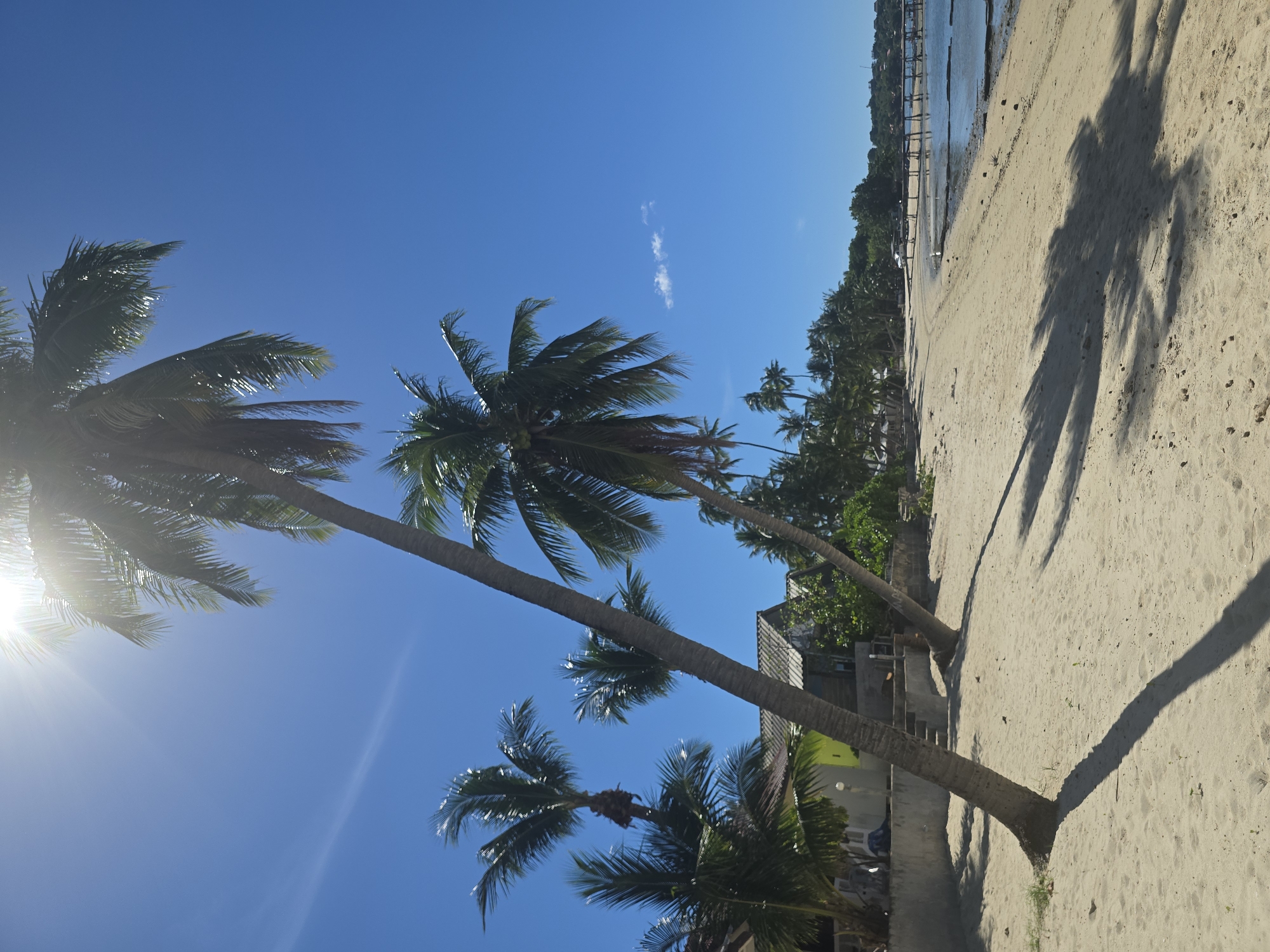 The image depicts a tropical beach scene under a bright, clear blue sky with the sun high and shining. Several palm trees are prominent, with their fronds casting long shadows across the light-colored sand. The sand is smooth and appears to be a beach.
In the background, a row of buildings with sloped roofs are visible, suggesting a settlement or resort area. Some of these structures have a light green or yellow facade. Vegetation, including more palm trees and lush greenery, lines the area behind the buildings.
The water's edge is visible to the right, with calm, shallow water reflecting the blue sky. A wooden pier or walkway extends out into the water, supported by pilings. The tide appears to be low, revealing some seabed or sandbars near the shore. There are no people visible in the image. The overall impression is one of a serene, sunny day at a seaside location.