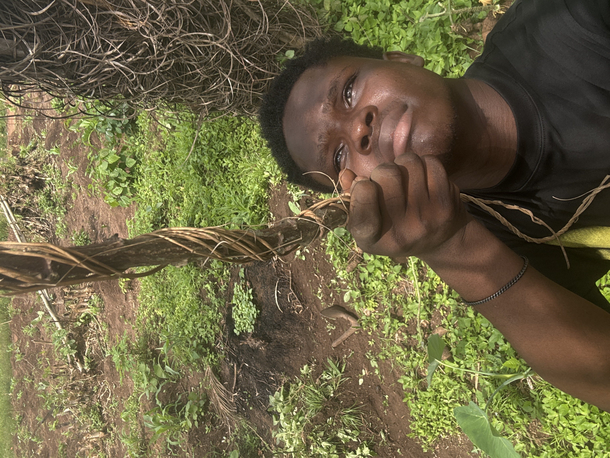 The image shows a young dark-skinned man with short dark hair lying on his side in an outdoor environment. He is wearing a black shirt and a thin chain bracelet on his right wrist. He is holding a thick, dark brown vine or branch in his left hand, appearing to examine it. The background consists of lush green vegetation, soil, and intertwined dry vines or branches. The location is identified as Aboh, Nigeria.