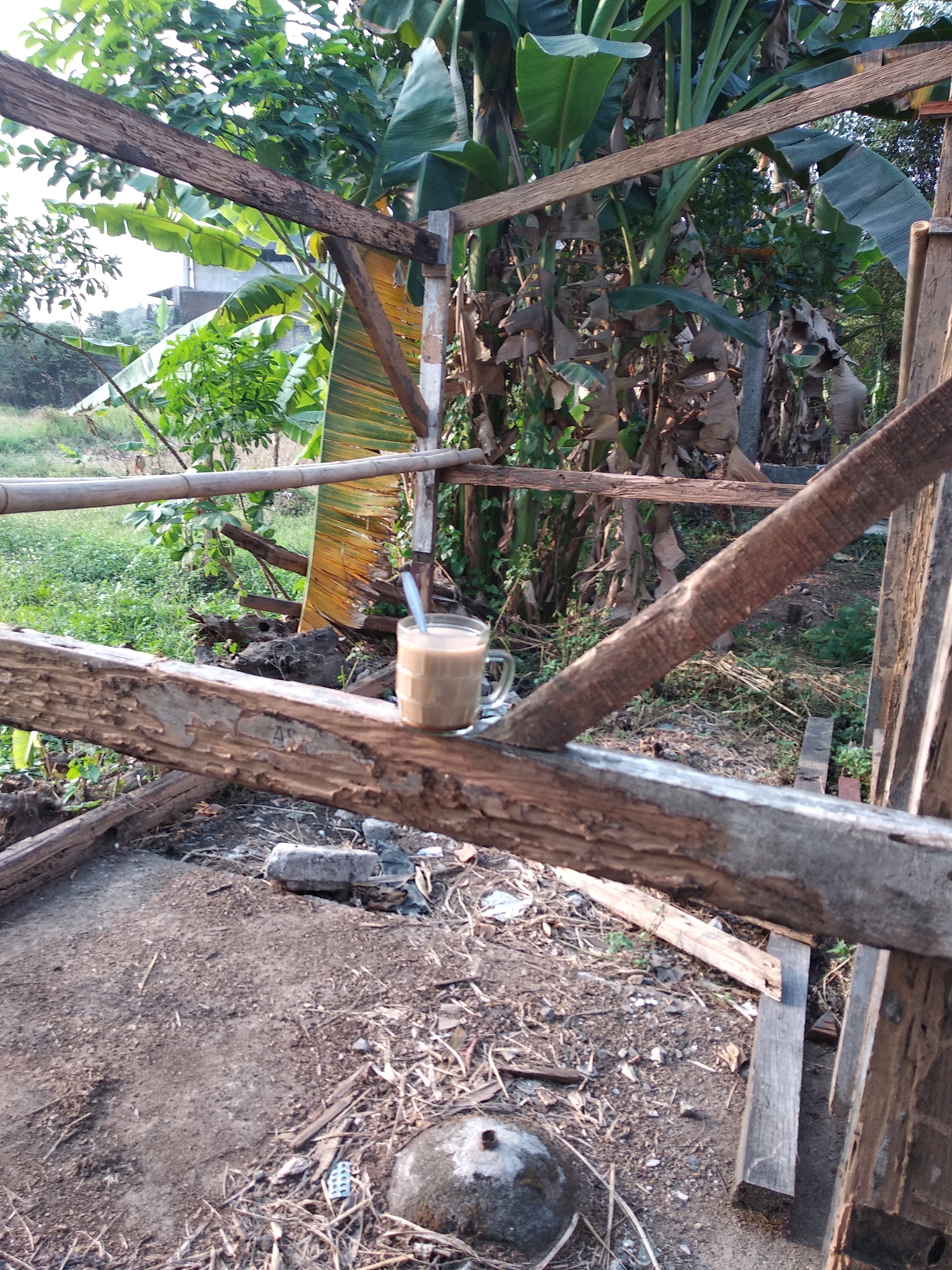 A glass of coffee with milk sits on a wooden beam in an outdoor, unfinished structure. The background shows lush green vegetation, including banana trees, and a partially visible building. The ground is covered with dirt, debris, and scattered pieces of wood. The scene appears to be located in a rural or semi-rural area, possibly in Balaraja, Indonesia, given the tropical foliage.