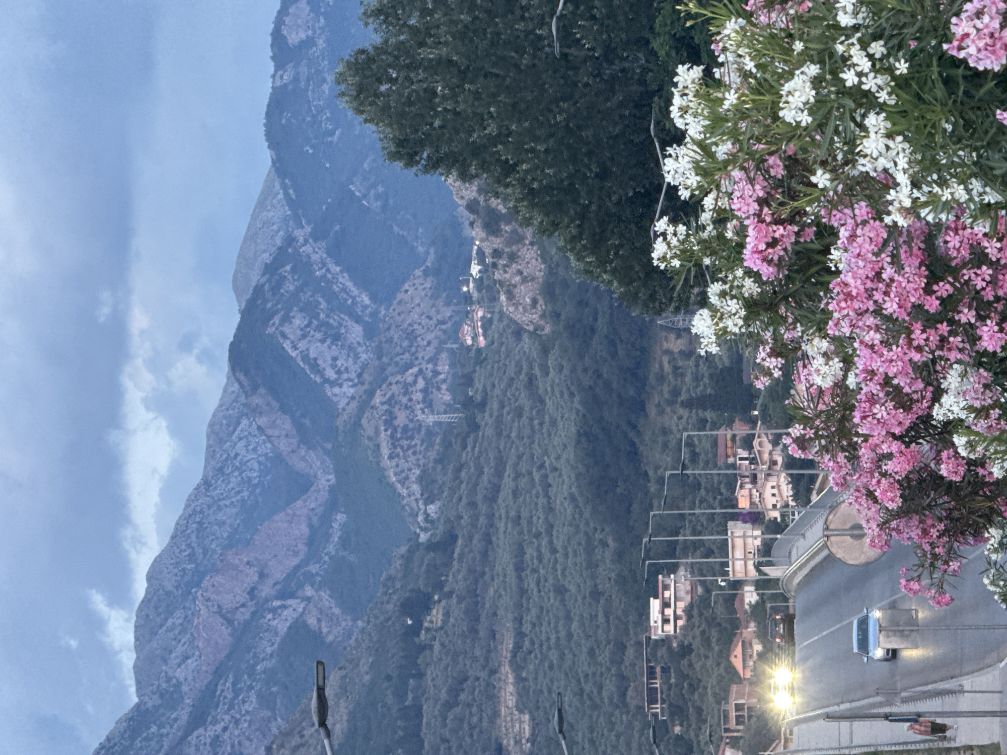 The image depicts a twilight scene in Bar, Montenegro, featuring a road bridge in the foreground with a few cars driving on it. The bridge is flanked by flowering bushes, with pink and white blossoms prominent. Beyond the bridge, the landscape rises into a hillside covered in dense, dark green trees. Further in the background, a range of rugged, gray mountains dominates the horizon under a cloudy sky. Several streetlights are visible along the bridge and hillside, and some buildings are scattered on the slopes. A solitary person is walking on the sidewalk beside the bridge. The overall impression is of a serene, natural landscape merging with urban infrastructure as dusk settles.