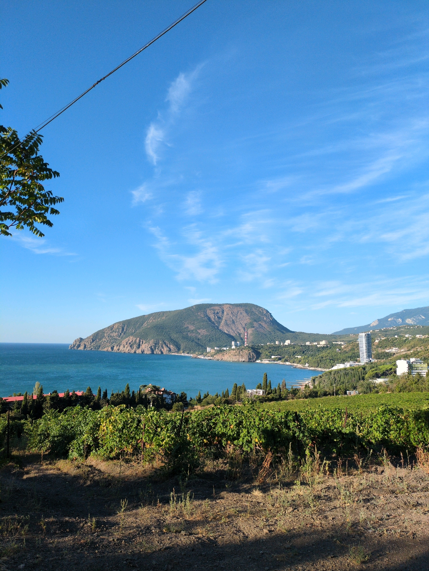 This is a photograph of a coastal landscape with a vineyard in the foreground. The scene is located in Utios, Ukraine. The foreground features a vineyard with rows of grapevines, some of which show signs of turning yellow, indicating the season might be autumn. The ground in front of the vineyard is dry and uneven, with sparse vegetation.
Beyond the vineyard, a body of blue water, likely the sea, stretches across the frame. The water is calm and reflects the clear blue sky, which is dotted with wispy white clouds. In the middle ground, a rocky coastline curves around a bay. A town or resort area is visible along the coast, with several buildings, including a tall, modern white skyscraper. The background consists of rolling green hills and mountains that rise from the coastline.
A black wire runs diagonally across the upper left portion of the image, suggesting the presence of utility lines. A few green leaves from a tree are visible in the extreme upper left corner. The lighting suggests it is daytime, with sunlight casting shadows on the vineyard. There are no people visible in the image.