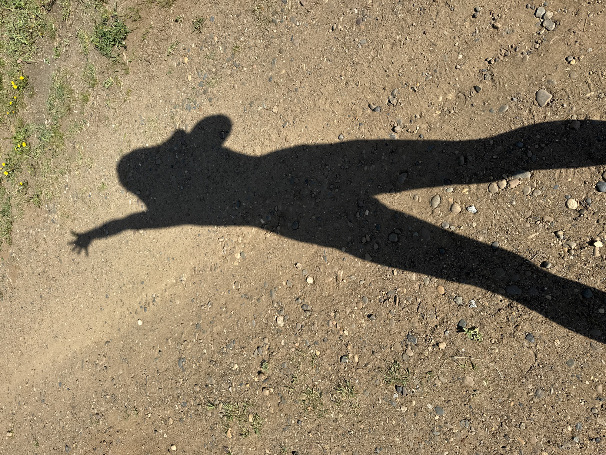 A shadow of a person, standing on a dirt or gravel path, is cast at an angle onto the ground. The shadow shows the person with one arm extended. Patches of grass are visible on the path. The location, based on the request, is assumed to be in Chaikovsky, Russia.