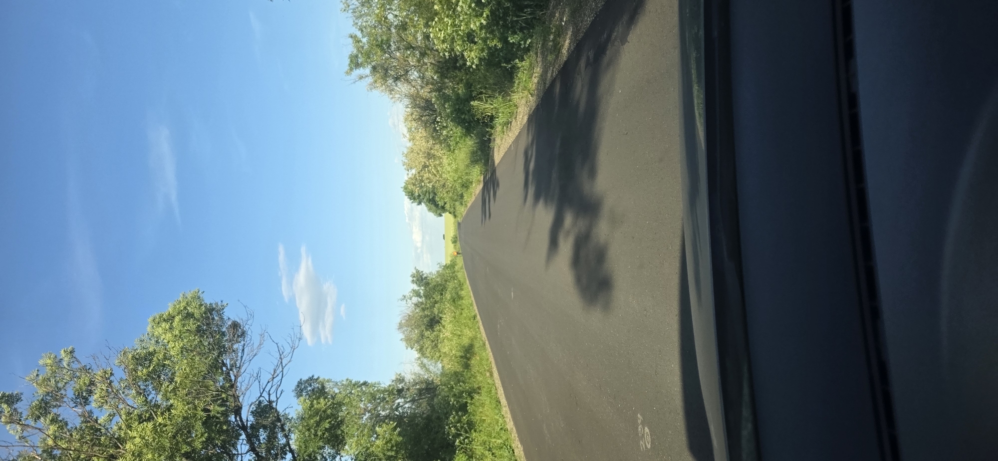 A slightly tilted, eye-level shot captures a paved road running through Krushovo, Bulgaria. The road, which takes up the majority of the frame, is flanked by trees and green foliage on both sides. A clear blue sky with sparse clouds is visible above the trees on the left, while the right side of the image includes the interior of a vehicle, suggesting the shot was taken from inside a car.