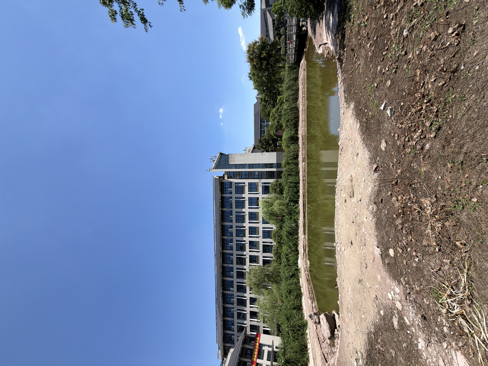 The image shows a pond in front of a building complex in Jiangjin, China. The pond is murky green and has a dirt and rock-lined perimeter. The building is a multi-story structure with many windows and air conditioning units. Trees and bushes surround the building and extend to the edge of the pond. A bridge is visible in the background, with a few people walking on it. The sky is clear and blue, with a few small clouds. The foreground of the image consists of dry dirt and dead vegetation.