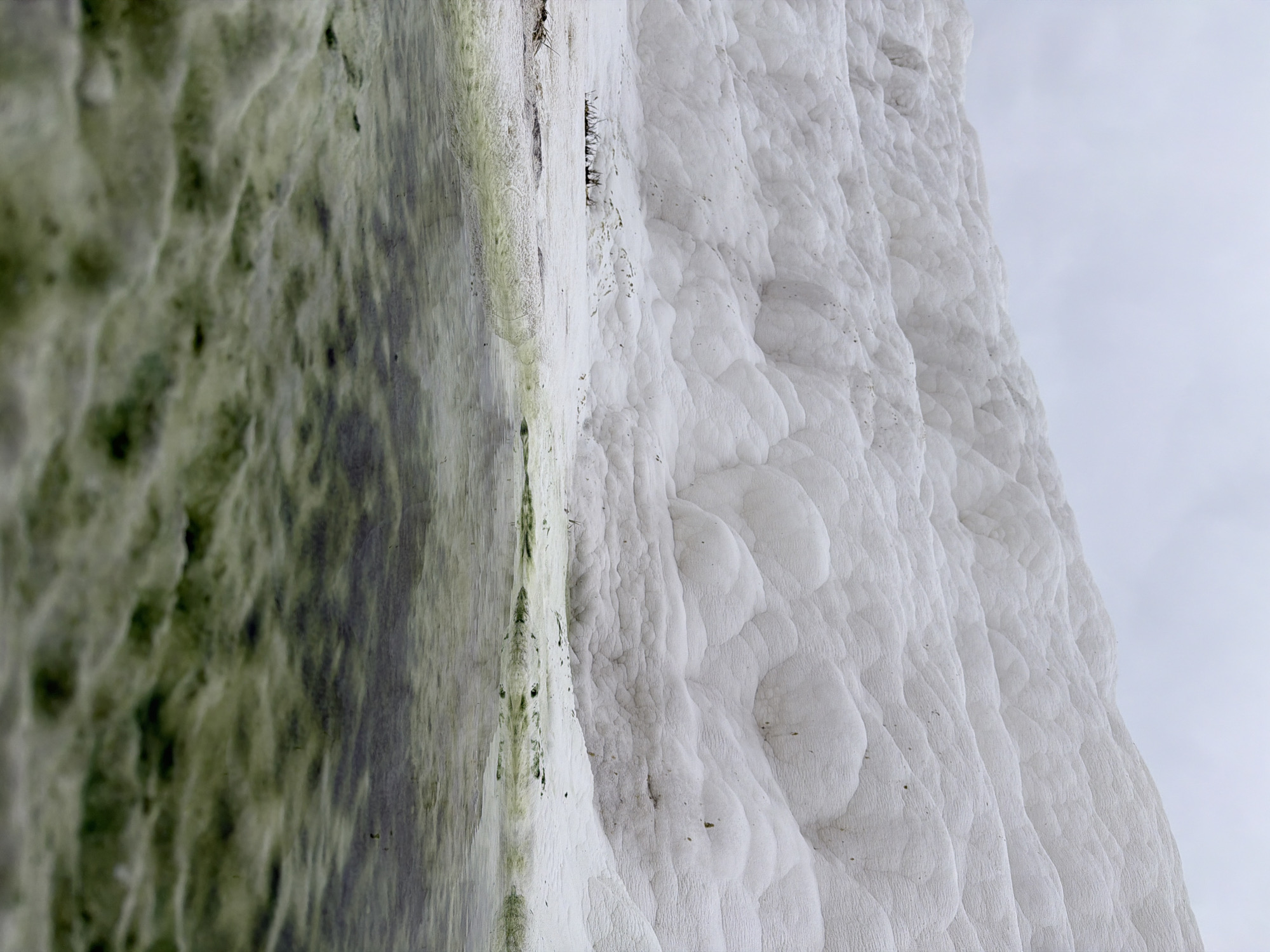 The image depicts a section of the Pamukkale travertines in Turkey. The right side of the frame features the stark white, terraced formations characteristic of the mineral-rich springs. To the left, there is a green-hued area, likely indicating algal growth or mineral deposits affected by moisture. The sky appears overcast in the background. There are no people visible in the image.