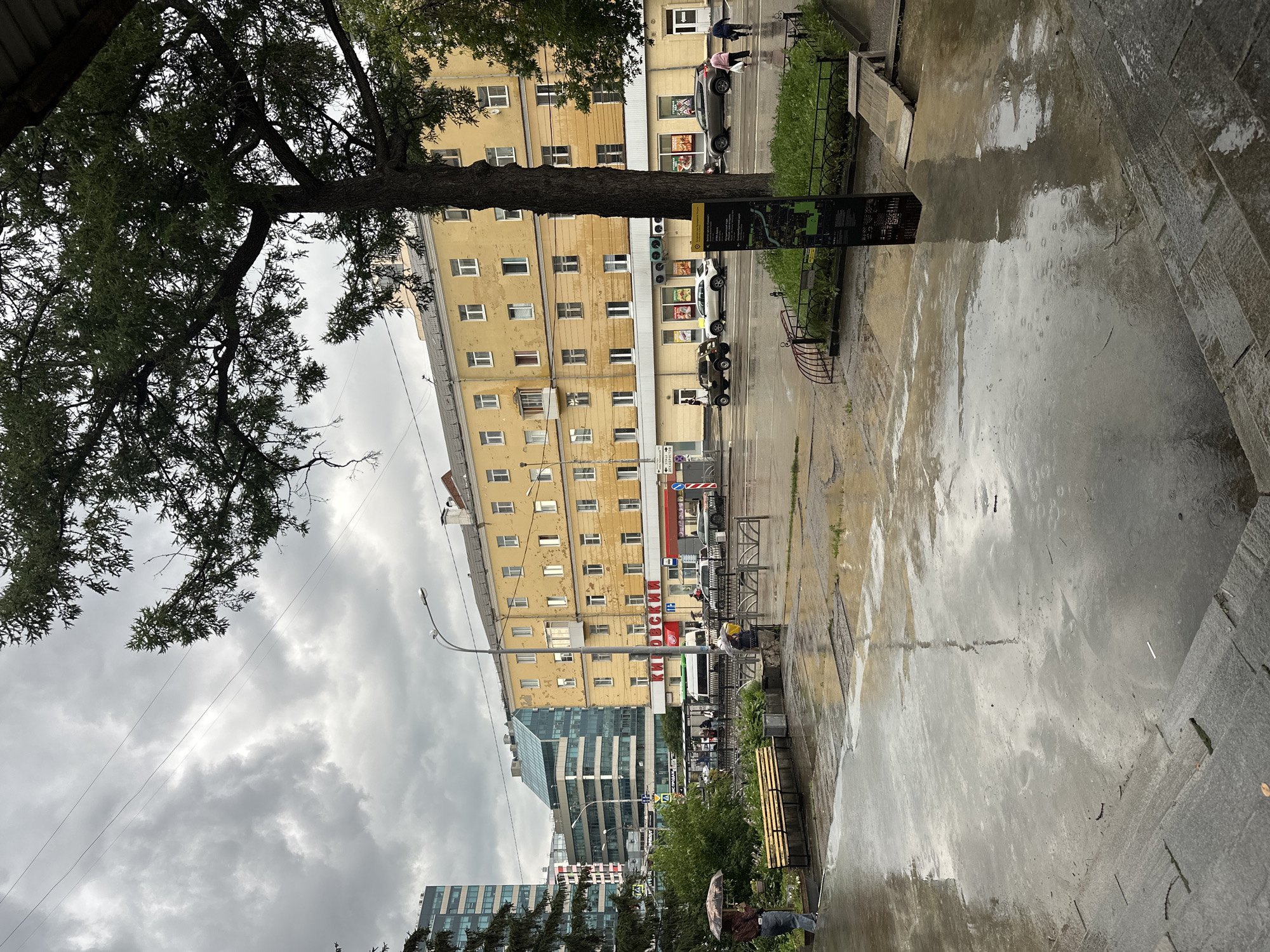 This image captures a wet street scene in Yekaterinburg, Russia, likely during or after rainfall. The foreground features a wet pavement with reflections of the overcast sky and surrounding buildings. To the left, a person holding a patterned umbrella stands near a wooden bench. In the midground, a yellow building with multiple windows lines the street. Several cars, including a dark SUV, a white sedan, and a grey sedan, are parked or driving on the wet road. A bus stop with people waiting is visible behind a metal fence. Modern glass-fronted buildings are situated behind the yellow building, creating a contrast in architectural styles. A large tree with dense foliage dominates the right side of the frame, partially obscuring the sky and the buildings. A vertical sign with text and graphics stands in a grassy area near the street. The overall atmosphere is somber due to the cloudy weather and wet conditions.