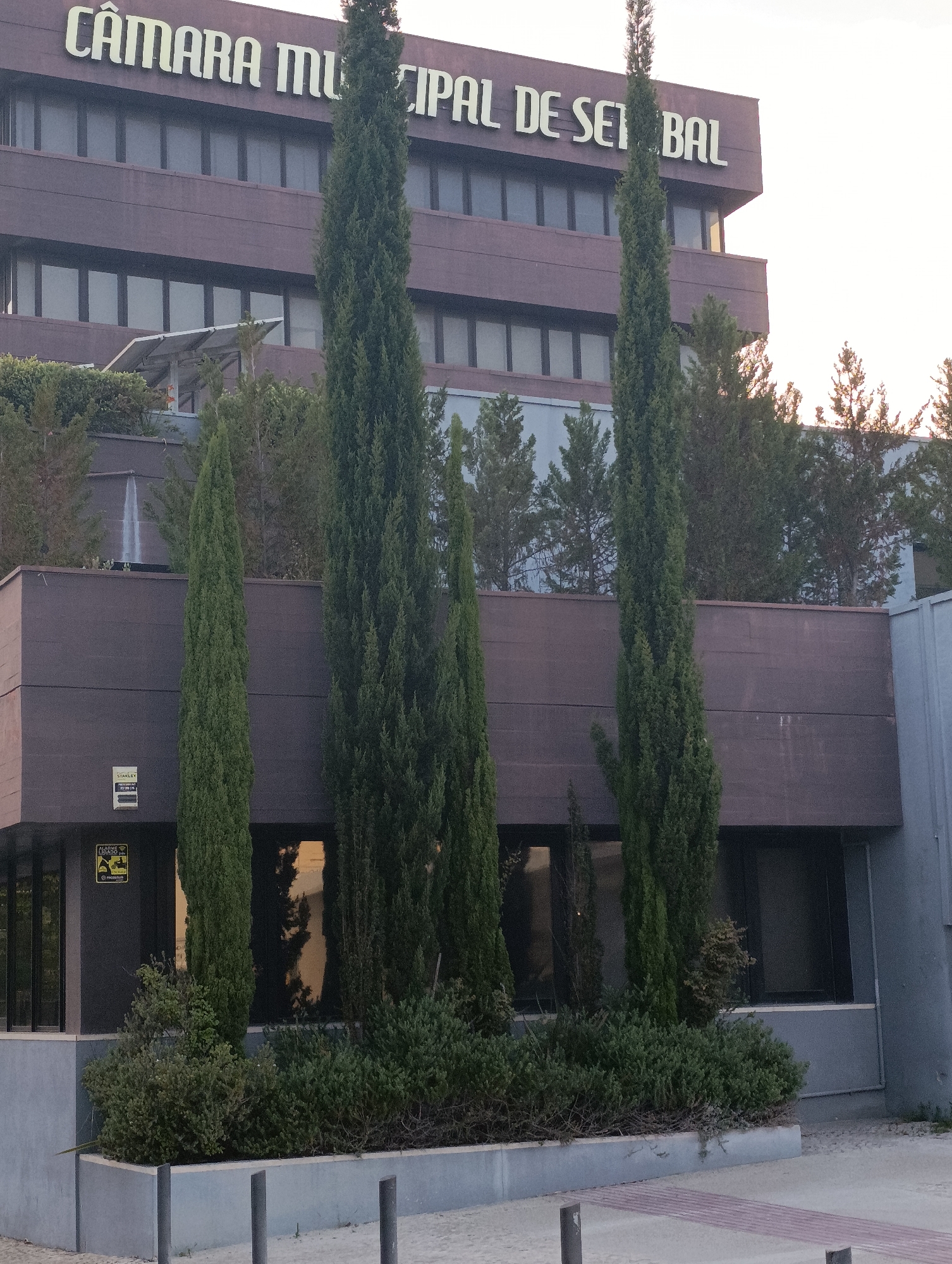 The image shows the facade of the Câmara Municipal de Setúbal, the municipal chamber of Setúbal, Portugal. The building is a modern, multi-story structure with a dark brown exterior and numerous windows. The name "CÂMARA MUNICIPAL DE SETÚBAL" is prominently displayed in large, white, capitalized letters on the upper facade. In front of the building, there are several tall, slender cypress trees and dense green shrubs. The foreground features a sidewalk and what appears to be a planter. Two yellow signs are affixed to the lower section of the building, one with text and a security symbol, and another with a yellow warning symbol and text. The sky in the background is overcast and bright, suggesting it might be late afternoon or early morning.