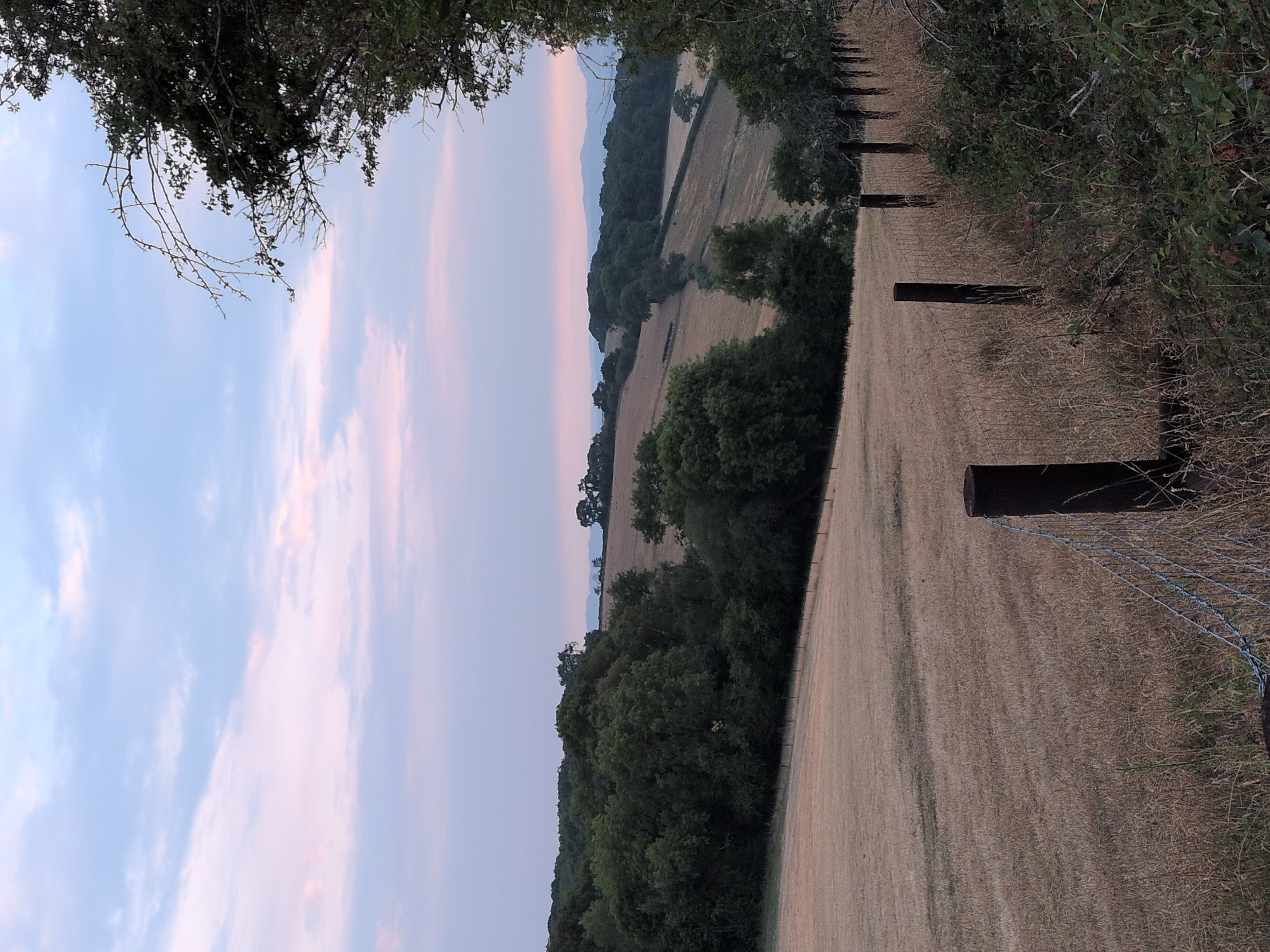 The image depicts a rural landscape, likely in or near Little Wenlock, United Kingdom, during twilight or early dawn. In the foreground, a dry, mown field stretches towards rolling hills in the middle ground. A wire fence with wooden posts runs along the edge of the field and continues into the distance. The field is a uniform tan color, suggesting it has been harvested. Beyond the field, a line of dense green trees forms a dark band across the landscape. Further in the distance, the terrain becomes more hilly, with scattered trees and patches of lighter-colored fields. The sky above is a soft gradient of pale blue and pink hues, with scattered clouds. The overall impression is one of tranquility and natural beauty. There are no people or animals visible in the image.