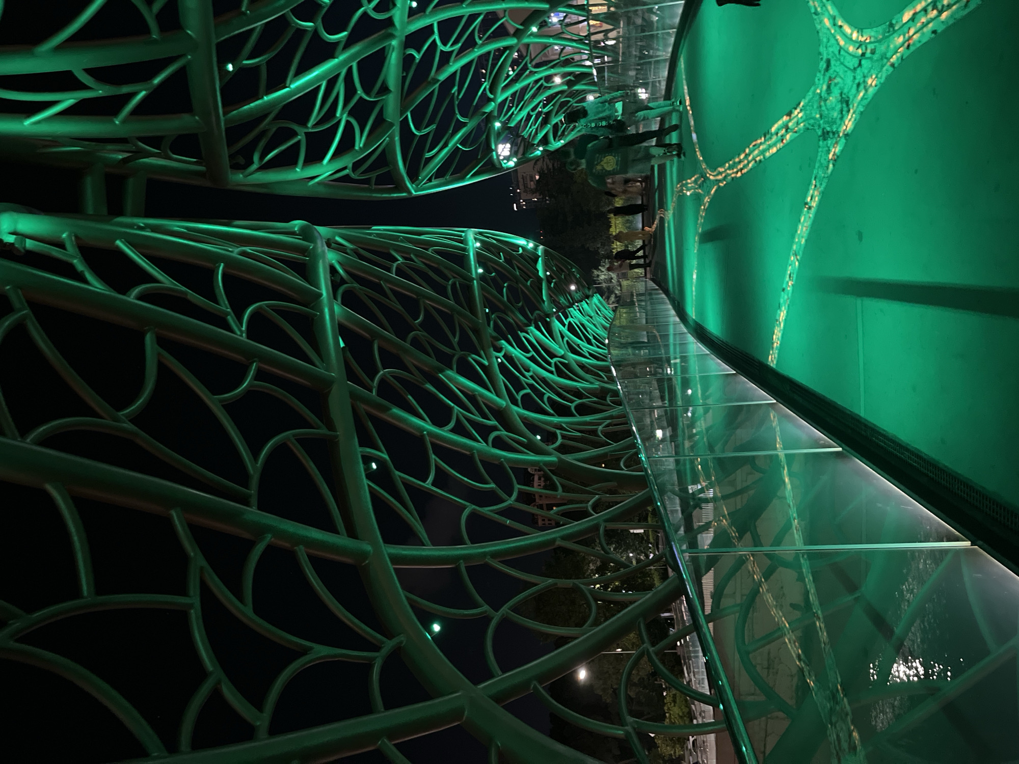 This image depicts a contemporary pedestrian bridge, illuminated with vibrant green lights, located in Sochi, Russia. The bridge features an intricate, organic design with curving green metal structures that resemble a network of branches or leaves. These structures form an overhead canopy and also line the sides of the walkway. The walkway itself is made of a reflective material, possibly glass or polished metal, that glows with a green light. A patterned illumination, resembling a branching network, is projected onto the walkway.
Several individuals are visible on the bridge, walking in various directions. They are casually dressed and appear to be enjoying the illuminated structure. The background reveals a dark night sky, with hints of trees and urban buildings in the distance. The overall atmosphere is one of modern, artistic urban design and nighttime ambiance.