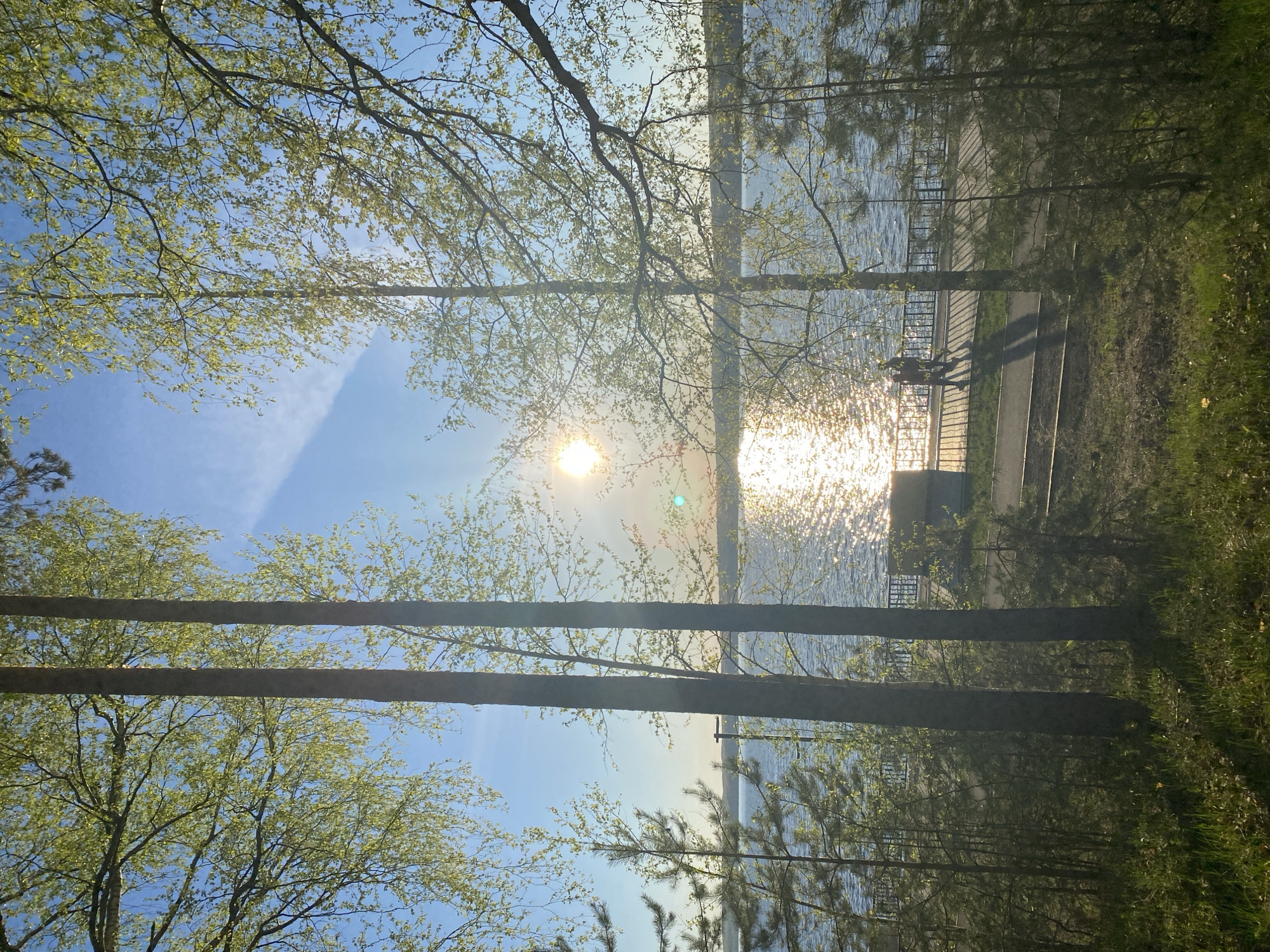 The image depicts a sunlit scene in Chaikovsky, Russia, near a body of water, likely the Kama River or a reservoir connected to it. The viewpoint is from ground level, looking through a screen of trees. The trunks of two mature trees frame the composition vertically. The sky is visible through the tree canopy, with a clear blue hue and some wispy clouds. Sunlight reflects brightly off the surface of the water. Along the shore, there's a paved walkway with a metal railing. Two figures are walking on the path. Vegetation is dense, with both deciduous and coniferous trees visible along the shoreline.