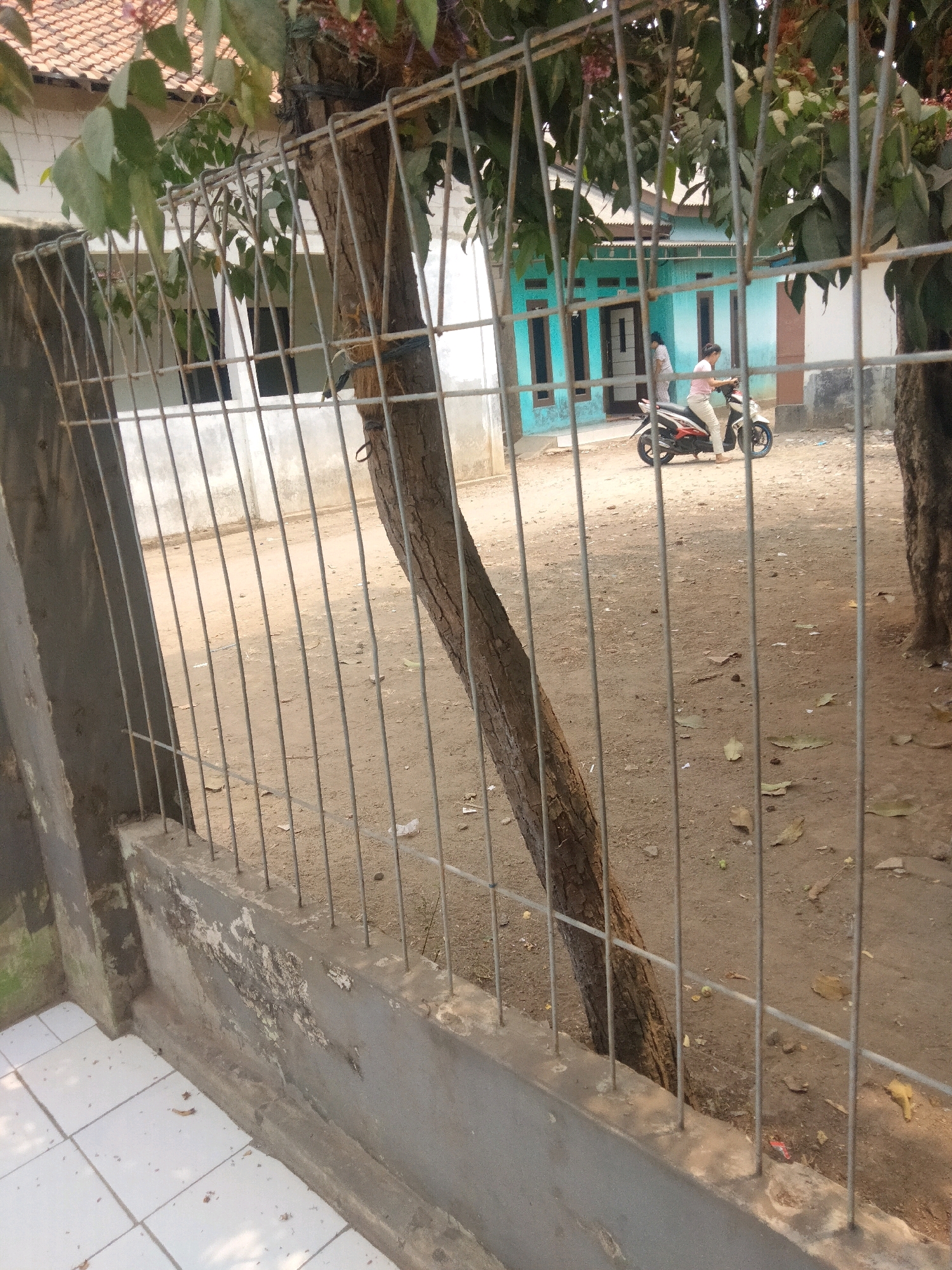 In the city of Suka Sari, Indonesia, a scene unfolds behind a metal fence. A dirt ground covers the area, with scattered dry leaves and some debris, including a crumpled piece of white paper. A tree with a rough, textured bark stands to the left, its trunk angled. In the background, a light blue house with white trim and several windows is visible. A woman wearing a pink shirt and light-colored pants is seated on a white and orange motorcycle. Another person, wearing a light-colored patterned outfit, stands near the doorway of the house. The overall environment suggests a residential area with a slightly weathered appearance, possibly indicating a warm and dry climate.