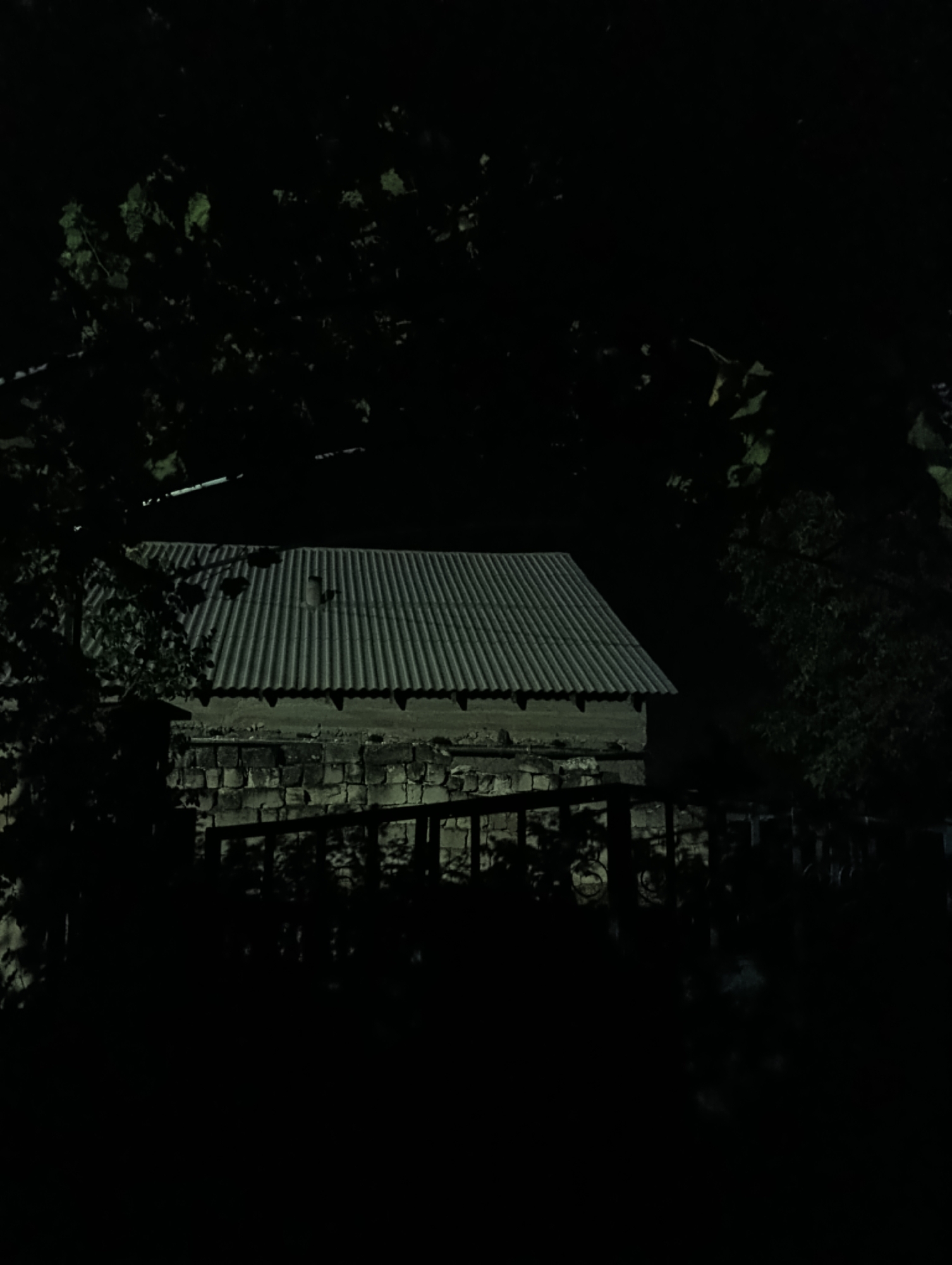 The image shows a low-angle, night-time shot of a rustic building with a corrugated metal roof in Roghi, Moldova. The building's walls appear to be constructed from rough-hewn stone blocks. In front of the building, a dark, shadowy fence or railing is visible. Foliage from trees overhangs the scene from the left and right, further obscuring the view and contributing to the dim, nocturnal atmosphere. The overall impression is one of a simple, possibly abandoned structure set against a dark, natural background. There are no people or animals visible in the image, and no discernible activity is taking place.