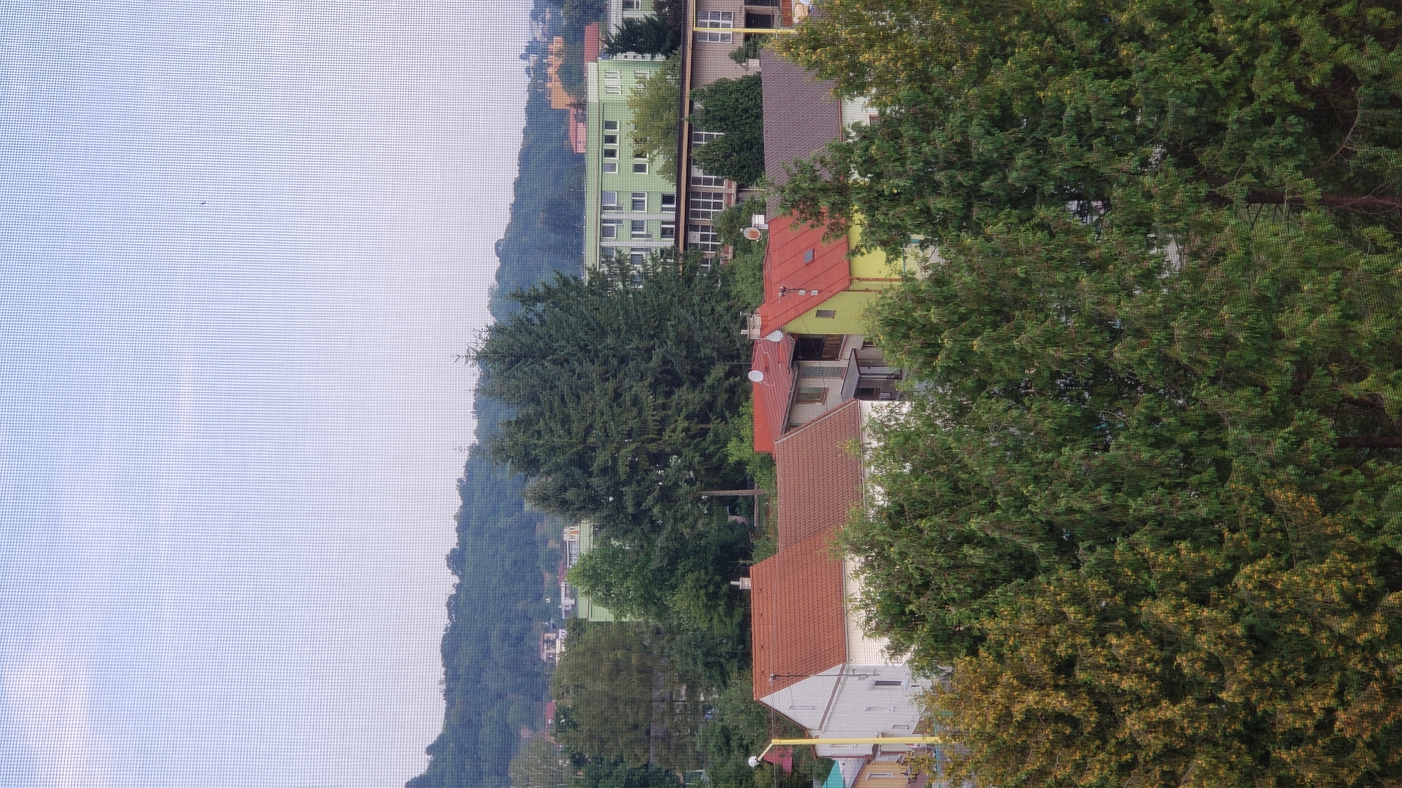 The image depicts a residential area with a mix of houses and apartment buildings, set against a backdrop of a tree-covered hill and a hazy sky. In the foreground, several houses with red tile roofs are visible, surrounded by lush green trees. One house on the left is white with a yellow pole and a lamp. To the right, a yellow-painted house with a red roof stands out. Behind these houses, larger evergreen trees dominate the middle ground. Further in the background, a green apartment building with multiple windows is prominent, along with other structures and hints of distant buildings. The overall impression is a suburban or semi-urban landscape. The presence of a window screen is subtly visible across the entire image, creating a slightly filtered effect.
