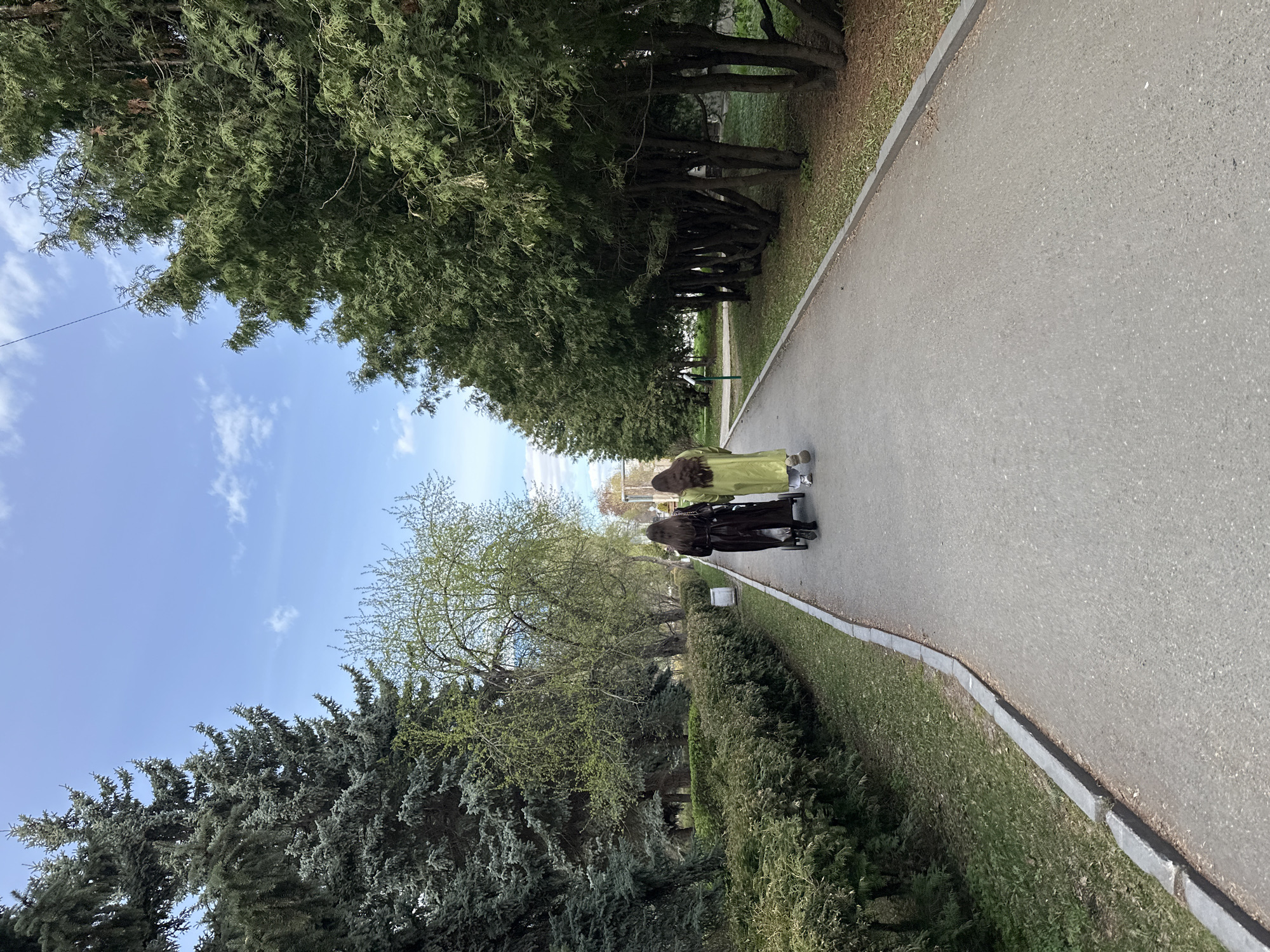 This vertical full shot depicts an outdoor park or boulevard scene, looking down a paved asphalt pathway lined with abundant trees and greenery under a bright, partly cloudy blue sky. The image is captured from a slightly elevated perspective.
Two individuals are walking away from the camera along the path in the middle ground. The person on the left wears a long, light green dress or coat, while the person on the right is dressed in a long, dark garment, possibly black. Both have long, dark hair.
The pathway, a wide strip of gray asphalt, stretches from the foreground into the distance, bordered on its right side by a concrete curb separating it from a strip of mown grass and dense hedges. On the left side of the path, a dense row of tall evergreen trees with dark green foliage creates a lush canopy. Further to the left and behind these evergreens, several spruce trees with a bluer hue are visible, along with a deciduous tree showing fresh, bright green spring leaves. On the right side, another dense line of dark evergreen trees borders the path, with visible trunks forming a natural wall in the background. The ground beneath the trees consists of sparse grass and what appears to be fallen leaves or needles. A thin wire is faintly visible against the sky in the upper left quadrant. The lighting suggests it is daytime with pleasant weather conditions. No visible text is present in the image. The location context for this scene is Yekaterinburg, Russia.