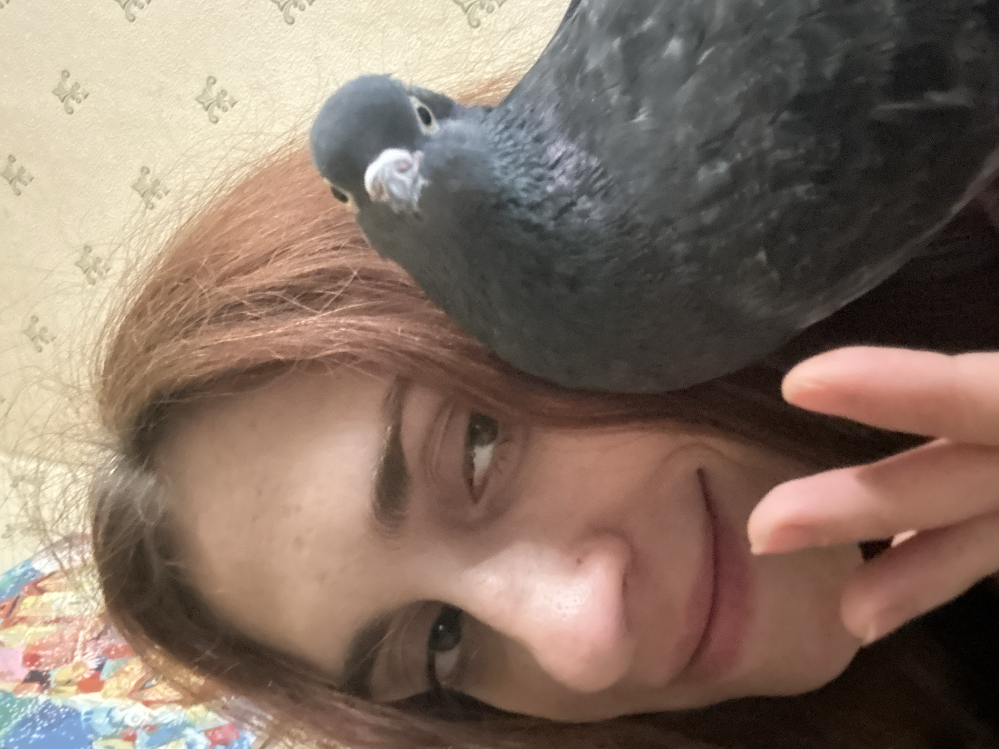 A medium shot shows a person with auburn hair and a pigeon in a dimly lit room. The person is on the left side of the frame, and the pigeon is on the right, perched on the person's shoulder. The pigeon's head is tilted towards the camera, and its eye is visible. The person's face is partially obscured by the pigeon, but their eyes are looking towards the camera, and their mouth is slightly open. The background is a patterned wallpaper. There is no discernible connection to Togliatti, Russia.