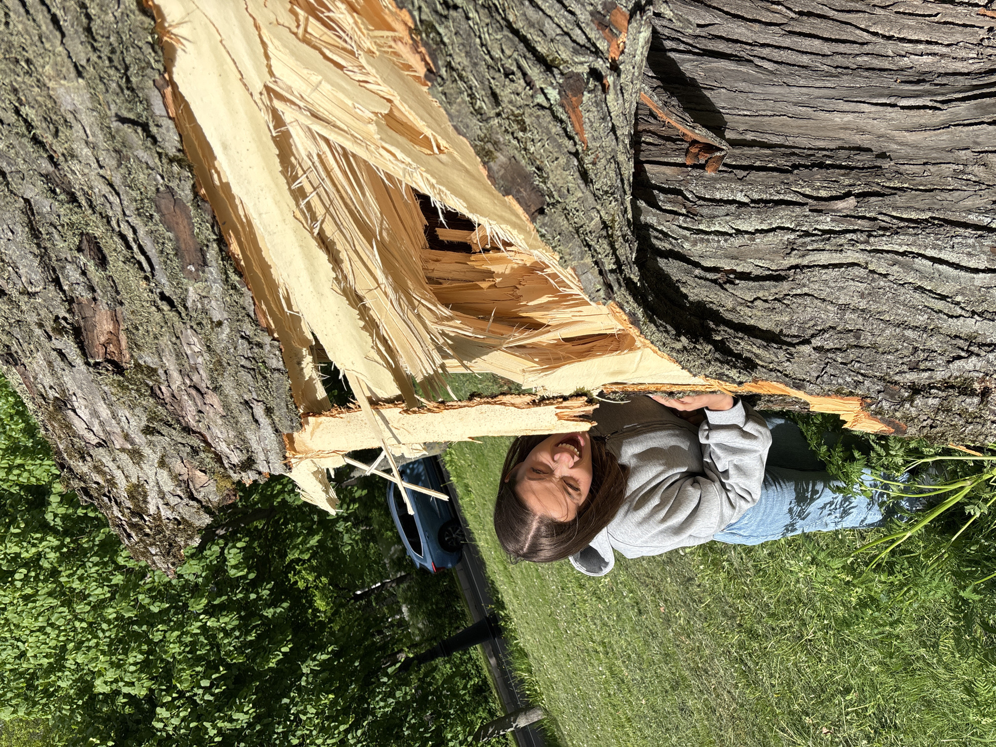A young woman with long brown hair, wearing a grey hooded sweatshirt and blue jeans, poses with her hands resting on a large, broken tree trunk. The tree's bark is rough and dark, and a significant portion of the trunk has splintered, revealing lighter wood beneath. The woman is positioned between the broken sections of the tree. Behind the tree and to the left of the woman, a blue car is visible, along with green foliage. The setting appears to be a grassy area, possibly a park or yard. The scene is outdoors and appears to be taken during daylight. The photograph does not allow for definitive identification of location in St. Petersburg.