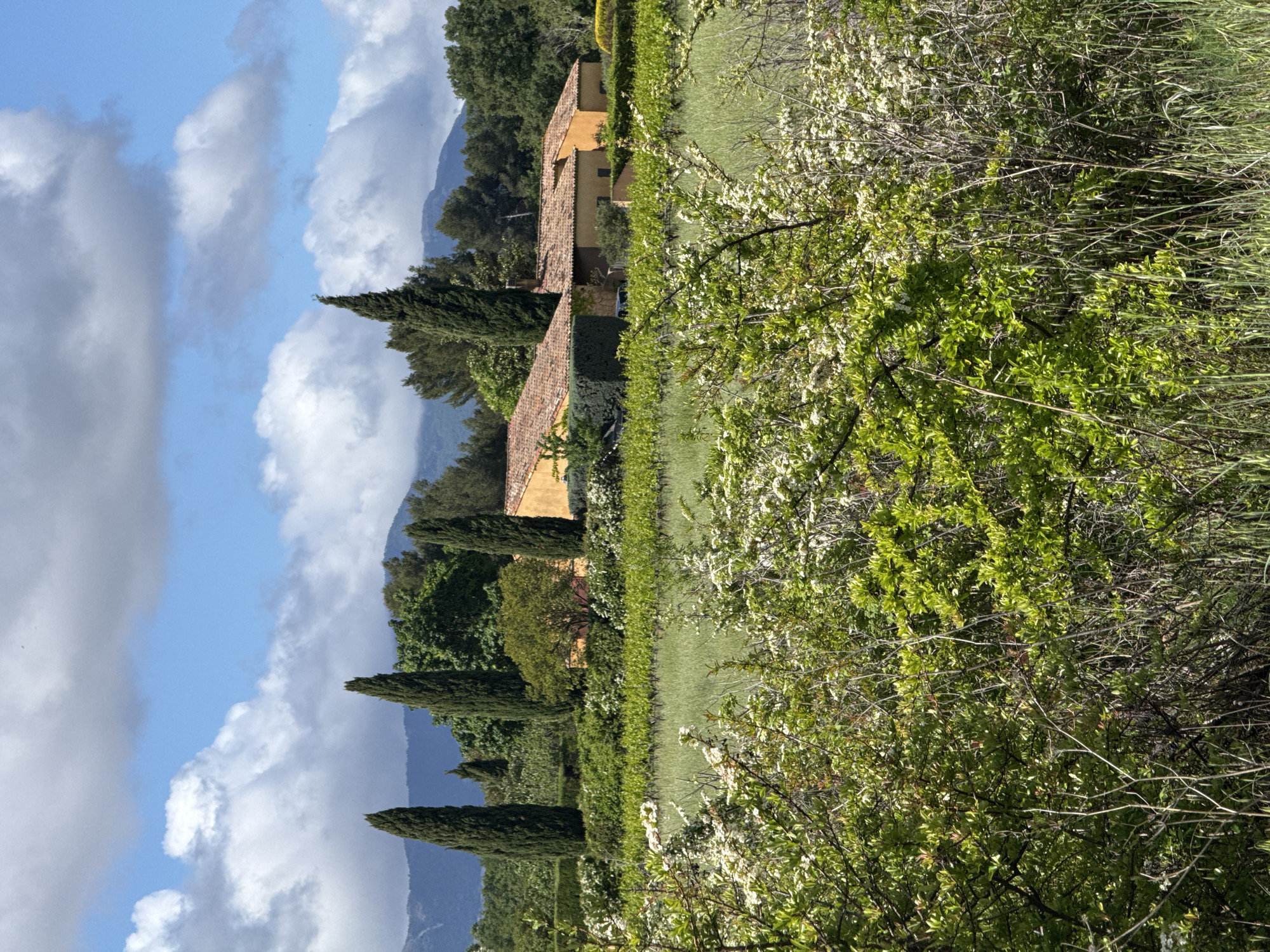 The image depicts a rural scene in Rousset, France, characterized by a landscape of vineyards and buildings. Two terracotta-roofed structures are situated amid rows of grapevines, with tall, slender cypress trees lining the landscape. Behind the buildings, a mountain range forms the backdrop. The sky displays a partly cloudy pattern. In the foreground, dense vegetation, possibly shrubs and bushes, is visible. No individuals are apparent in the photograph.