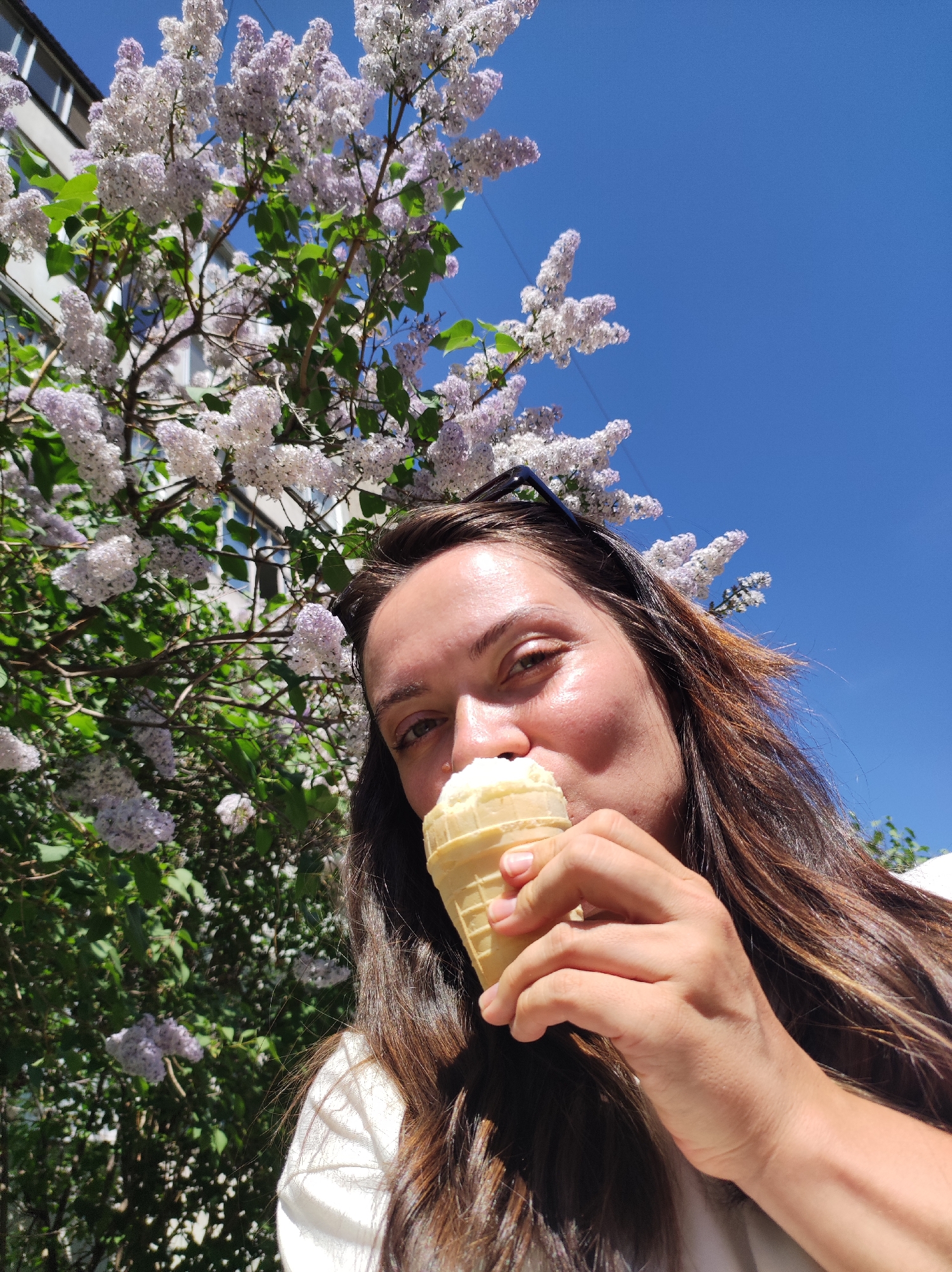 A woman with long brown hair is eating an ice cream cone outdoors. She is holding the cone with her right hand and bringing it to her mouth. Sunglasses are perched on top of her head. Behind her and to the left is a flowering lilac bush with light purple and white blooms. The sky is bright blue. A building is visible in the background, suggesting an urban location. This location is in Chaikovsky, Russia.