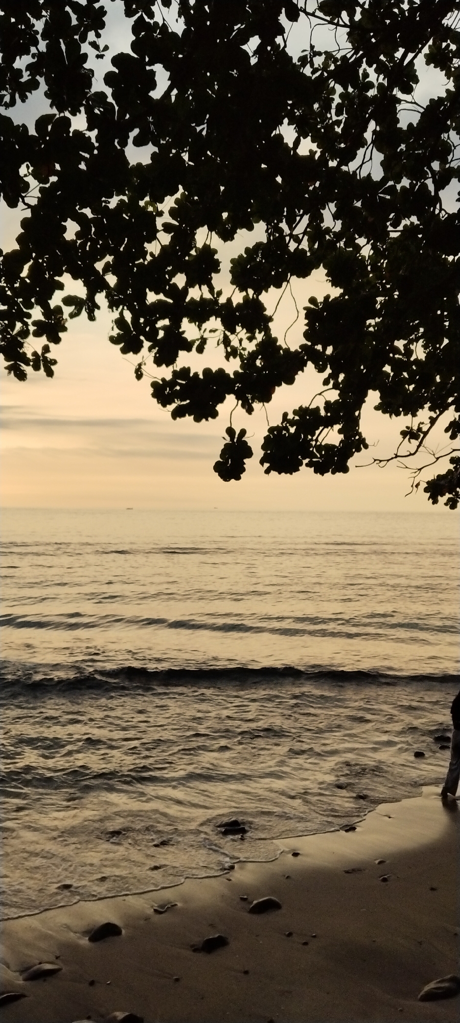 A silhouette of tree branches with leaves hangs over a tranquil ocean scene at dusk in Senggigi, Indonesia. The sky is a pale yellow, transitioning to a lighter hue towards the horizon. Gentle waves roll onto a sandy beach scattered with pebbles. In the distance, two small boats are visible on the water. A person's legs and feet are partially visible on the right side of the frame, standing on the sand near the water's edge. The overall atmosphere is serene and peaceful.