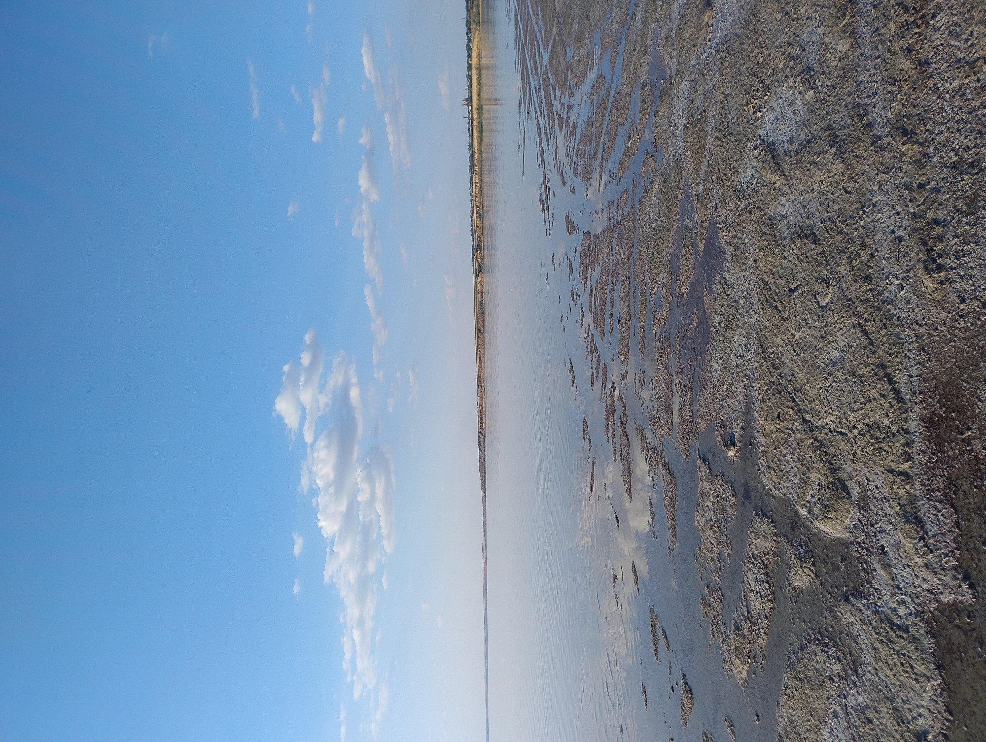 The image depicts a wide, shallow body of water with a sandy or muddy bottom visible in the foreground. The water's surface is mostly calm, reflecting the blue sky and scattered white clouds. Along the horizon, a treeline and some structures suggest a distant shore. The overall impression is one of a natural, open landscape, possibly a salt flat or shallow lake. The image is taken from a low vantage point, looking across the water towards the horizon.