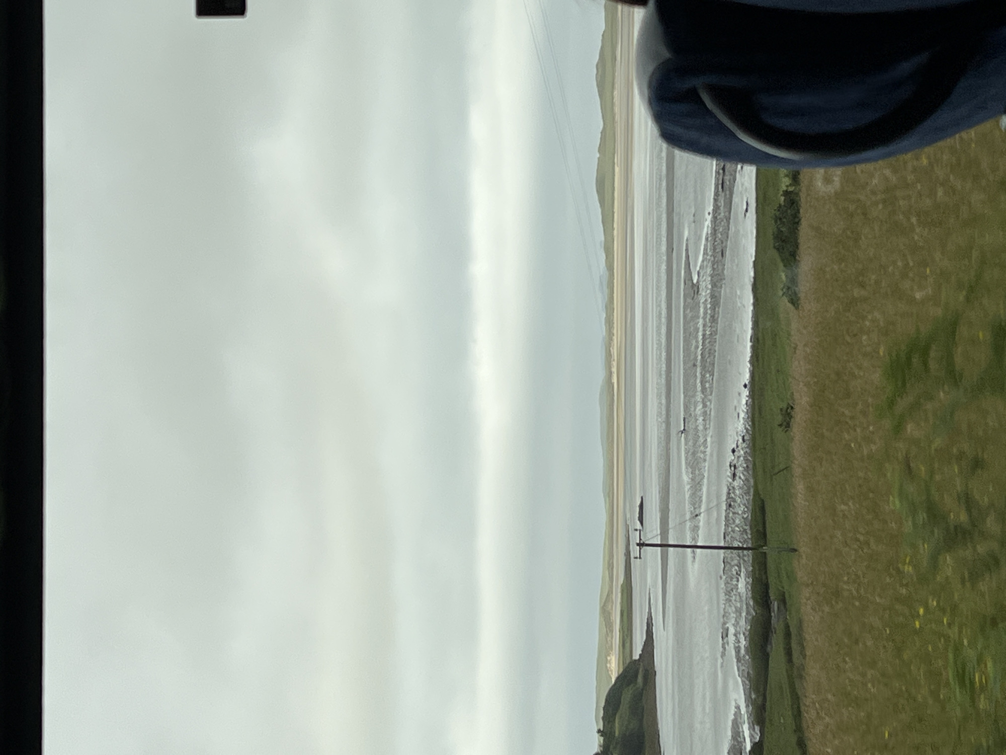 This is a vertical, landscape-oriented photograph taken from what appears to be a moving vehicle, as indicated by the partially visible dark fabric in the upper right corner, possibly an armrest or clothing, and the dark framing on the left edge, suggesting a window. The scene depicts a wide, flat, and somewhat desolate coastal landscape under an overcast sky.
The main subject is the expansive, wet sand flats of a beach or estuary, reflecting the muted, cloudy sky. The water level is low, revealing the textured surface of the sand with ripples and shallow pools. In the distance, rolling hills or dunes are visible, creating a soft, hazy horizon. A single, dark utility pole with wires stretches across the mid-ground, a solitary human-made element in the natural expanse. To the right of the sand flats, a strip of green, grassy land with a few small yellow wildflowers runs parallel to the shore.
The weather is overcast and appears to be either early morning or late afternoon, given the diffused light. There are no people clearly visible in the scene, though a few small dark shapes that could be birds or rocks are scattered on the wet sand. The overall mood of the image is calm and perhaps a bit melancholic due to the muted colors and overcast conditions. The location context provided is Killult Lower, Ireland, which suggests a coastal setting in the west of the country. No text is visible in the image.
