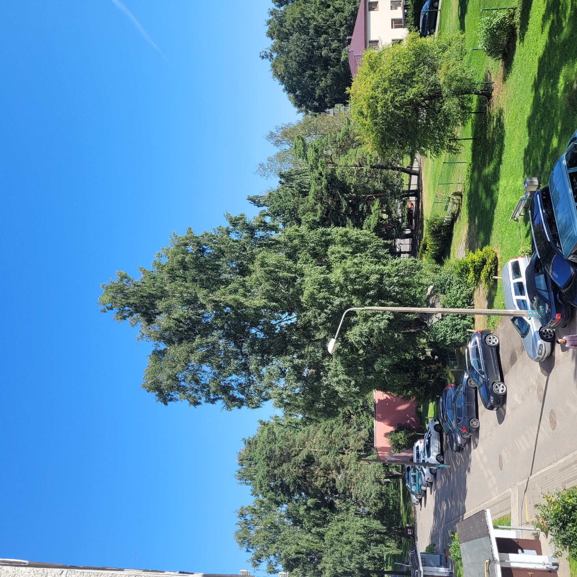 The image depicts a residential area in Jūrmala, Latvia, under a clear blue sky. In the foreground, a light-colored building with a dark roof is partially visible on the left. A paved road runs through the scene, lined with parked cars. Several vehicles, including sedans and SUVs, are observed in various colors such as black, silver, and dark gray. Some of these cars are parked parallel to the road, while others are angled.
A street lamp stands prominently in the midground, casting a shadow on the road. A large, mature tree with dense green foliage dominates the center of the image. To the right of this tree, a light-colored residential building with a dark red roof is visible, featuring several windows. A green fence encloses a grassy area with more trees and bushes. Two park benches are situated within this grassy area.
In the lower right corner of the image, another residential building with a dark roof is seen. A person, wearing a light-colored shirt, is standing on the sidewalk near the parked cars. The environment appears to be a well-maintained urban or suburban setting with ample greenery.