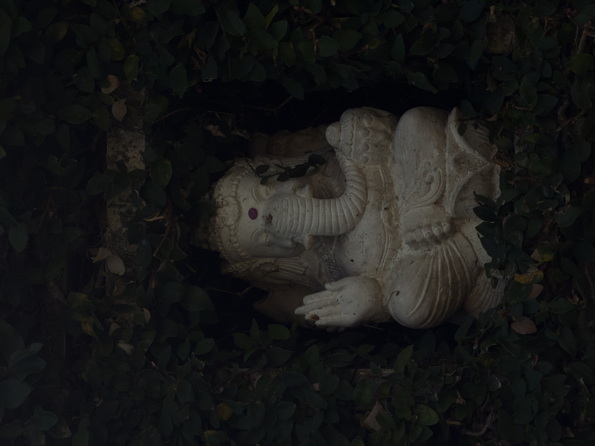 A stone statue of Ganesha, the Hindu deity with an elephant head, is nestled within a dense covering of green vines and foliage, potentially on a wall or structure in Mengwi, Indonesia. The statue is lying on its right side, showing a detailed texture of stone carving. The eye of the statue is accented with a pink/purple color. The setting is shadowy and dimly lit, creating a sense of hidden sanctity within nature.