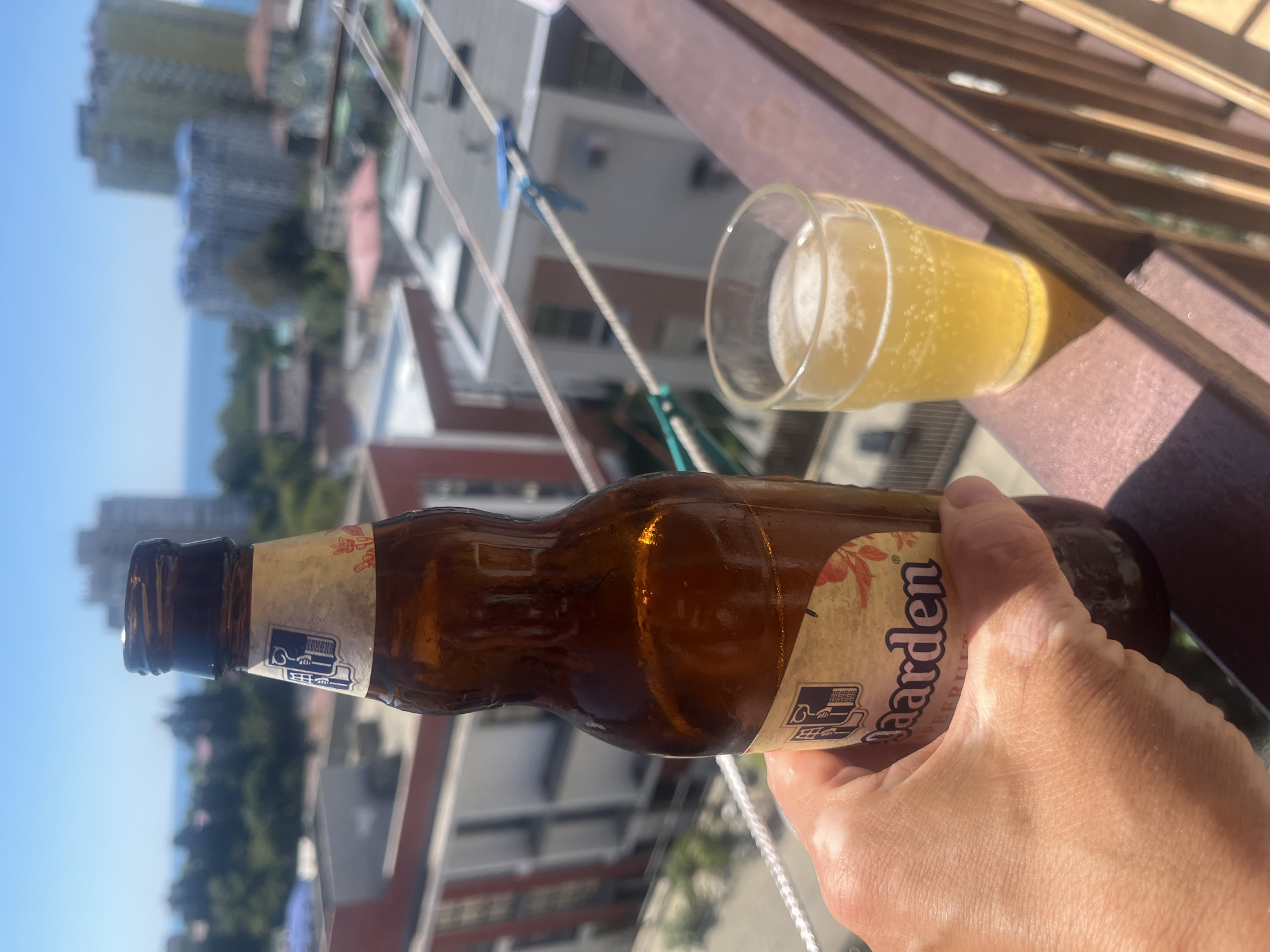 A person's hand, exhibiting vitiligo, holds a brown glass bottle of Hoegaarden beer. The bottle has a label with a blue crest and floral accents. Beside the bottle, a small glass is filled with golden beer, topped with foam. The scene is set on a wooden balcony overlooking a cityscape and the Black Sea, consistent with Sochi, Russia. Buildings, trees, and the distant sea are visible under a clear blue sky. Clotheslines with blue clothespins are strung across the background, suggesting a residential area.