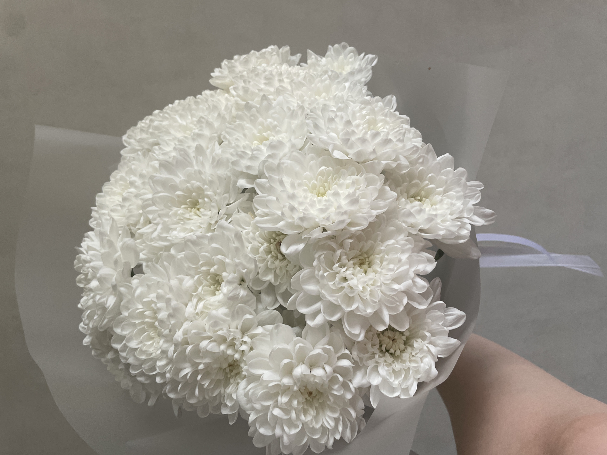 A person holds a bouquet of white chrysanthemums wrapped in light gray paper with a white ribbon. The background is a plain light gray wall. The image appears to be indoors. There is no information to suggest the location of this image is in Chaikovsky, Russia.