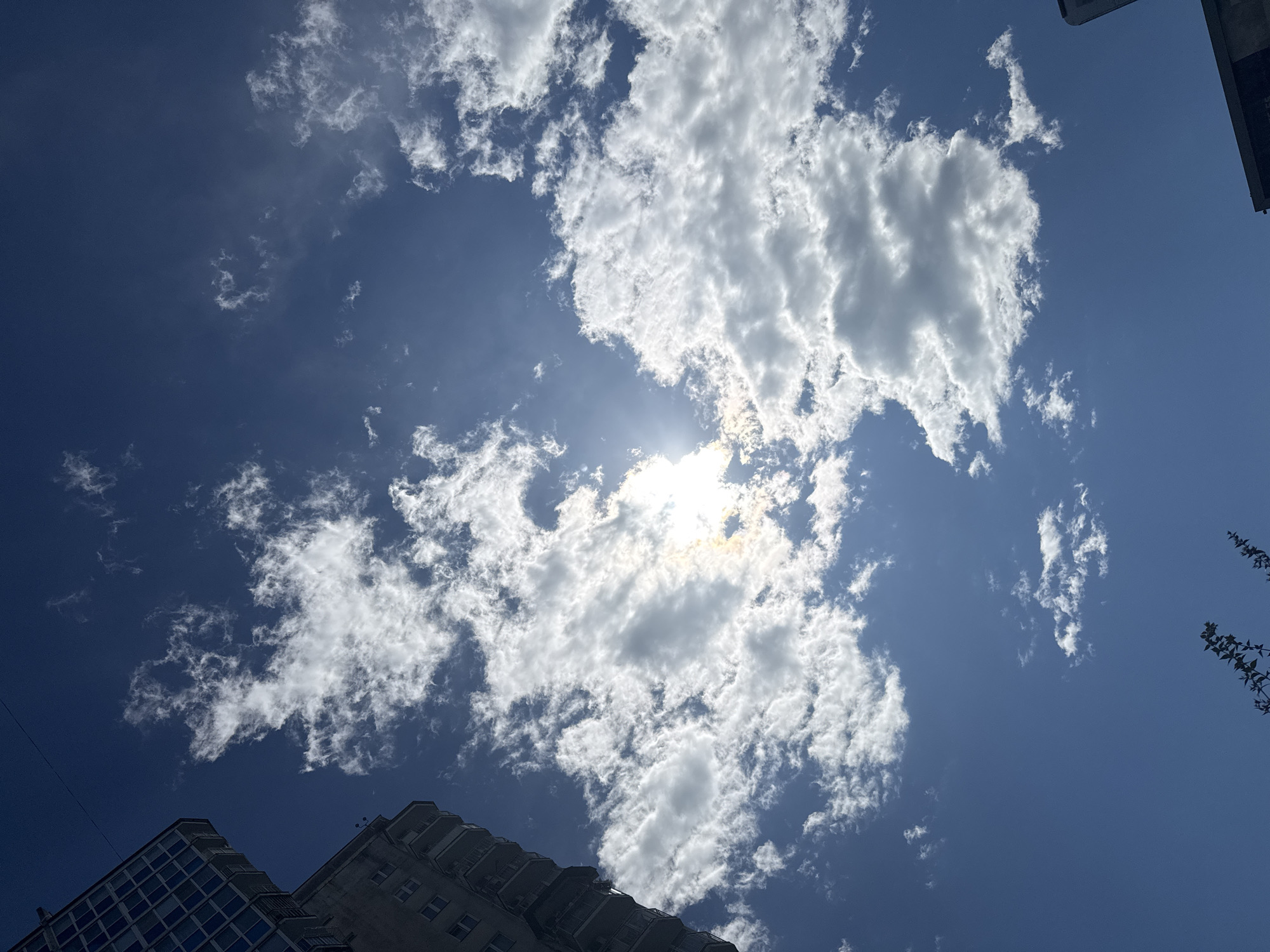 The image is a low-angle shot of a bright blue sky filled with scattered white clouds. The sun is visible, shining through some of the clouds, creating a lens flare. In the upper left corner of the frame, a portion of a multi-story building with many windows is visible. In the bottom right corner, a sliver of another building is visible. A few dark branches of a tree are visible in the lower middle of the frame. The scene appears to be an urban environment, likely taken on a clear day. The image does not depict any people or specific actions. It is not possible to determine the exact location in Sochi, Russia from the image alone.