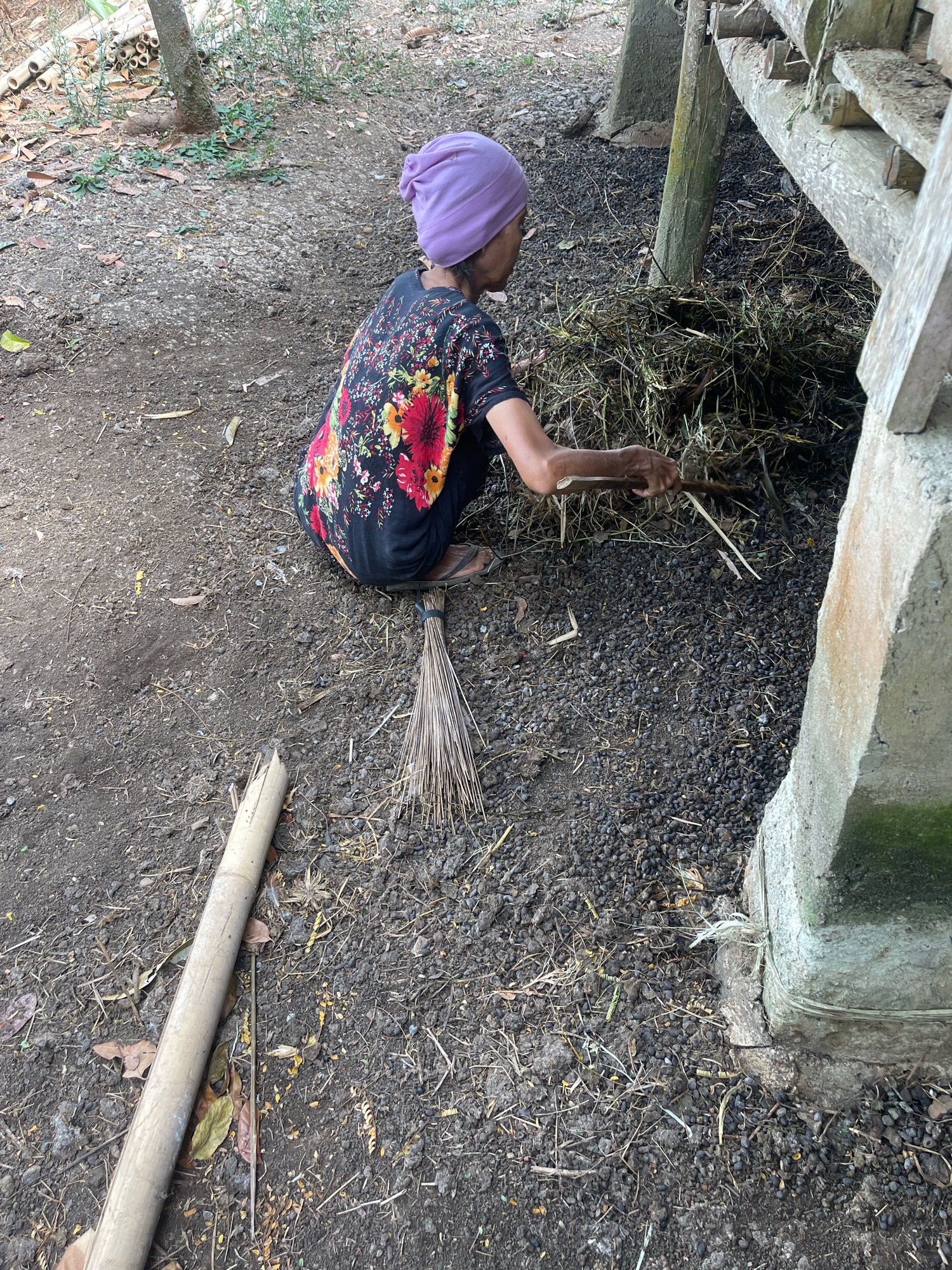 A person wearing a purple headscarf and a black shirt with a floral print is squatting in a dirt area in Pabuaran, Indonesia. The person is using a stick to move a pile of dried grass and organic material near a wooden structure with concrete supports. A broom made of twigs lies on the ground to the person's right. A segment of bamboo pole is also visible on the ground in the foreground. The environment appears to be an outdoor rural setting.